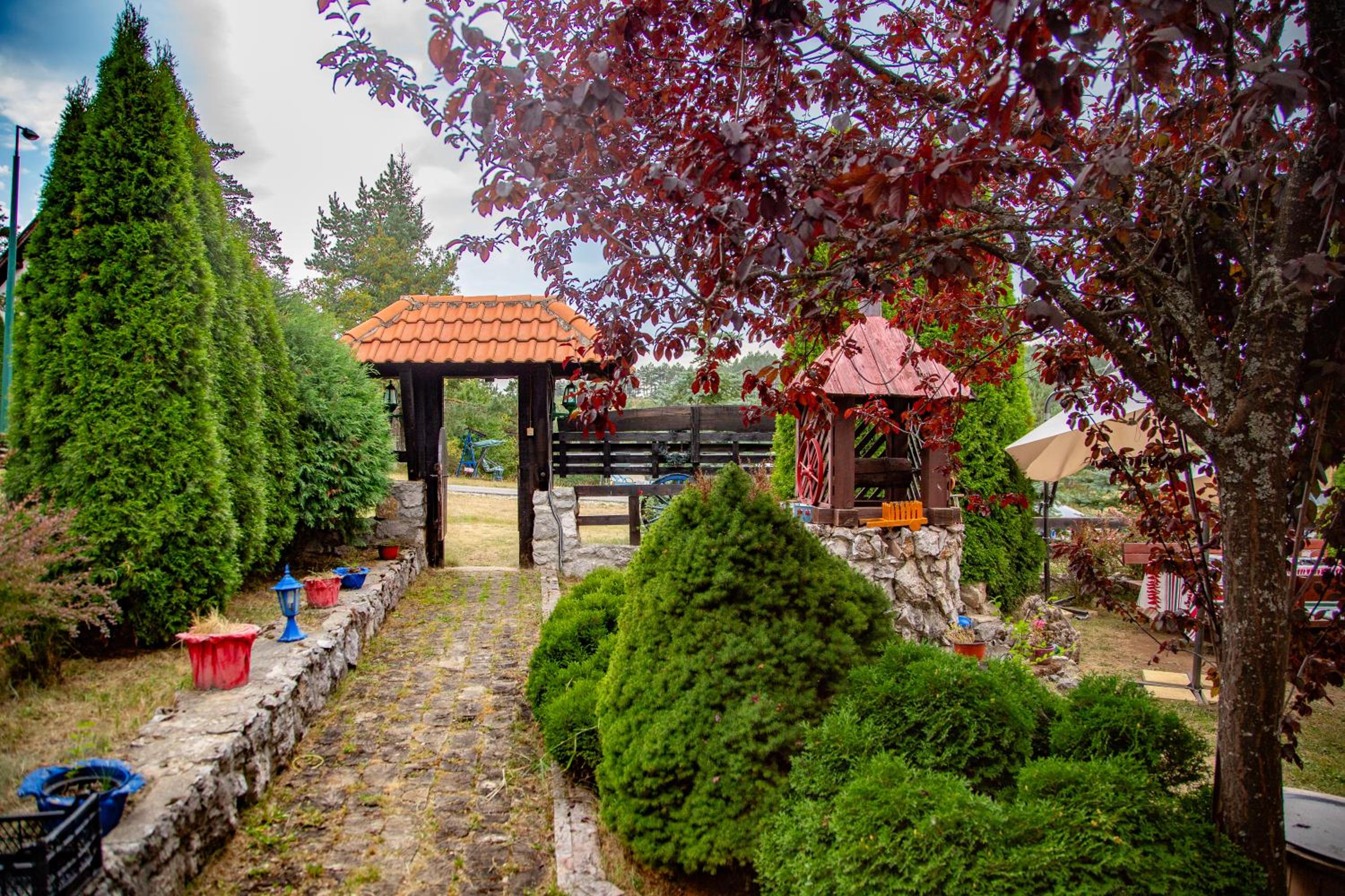 U Drvo Zlatibor - Vodice view 5