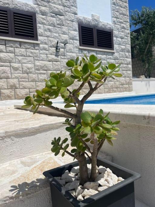 Beachfront Villa with pool - MyWay view 3