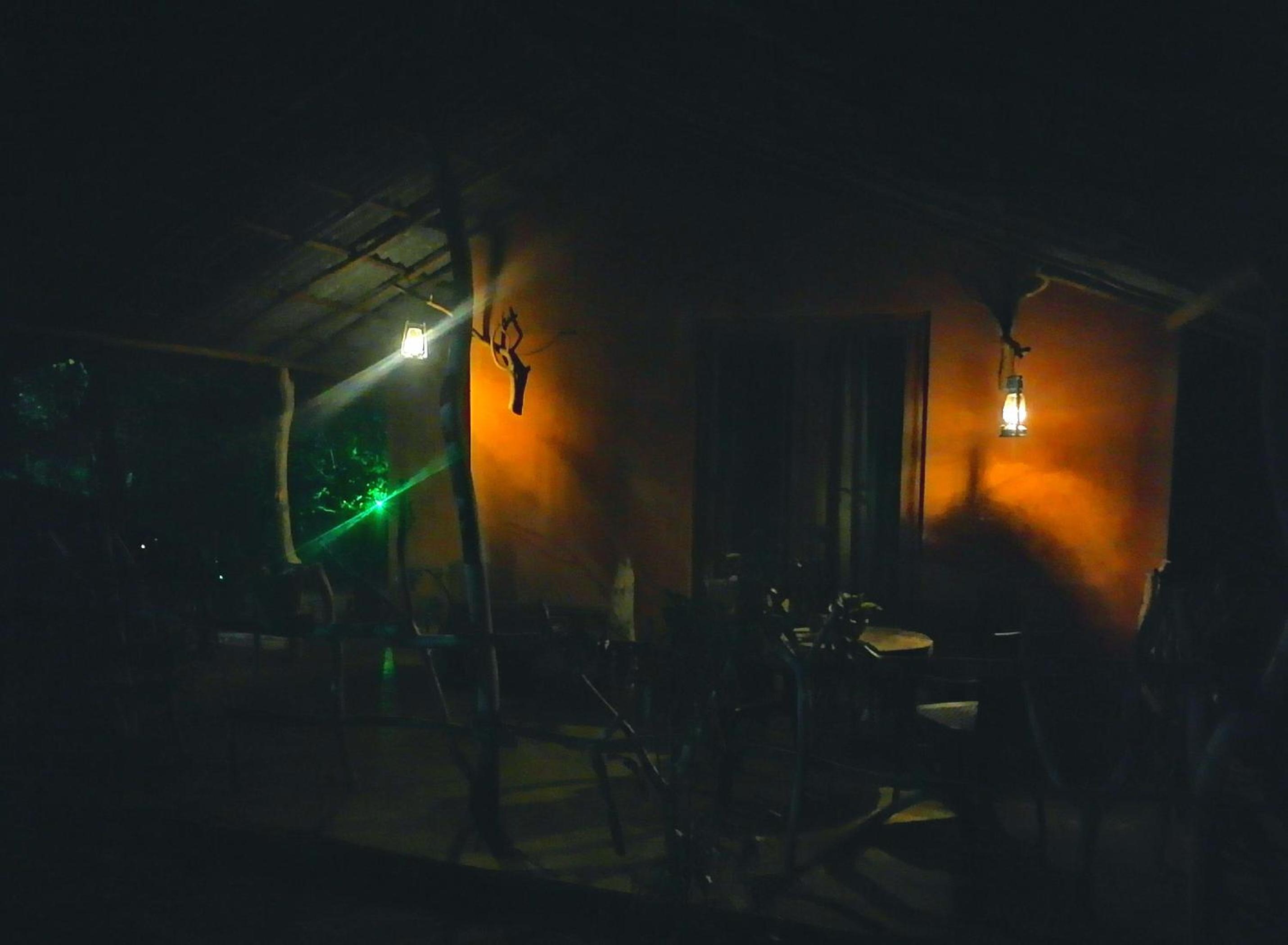 Photo 51