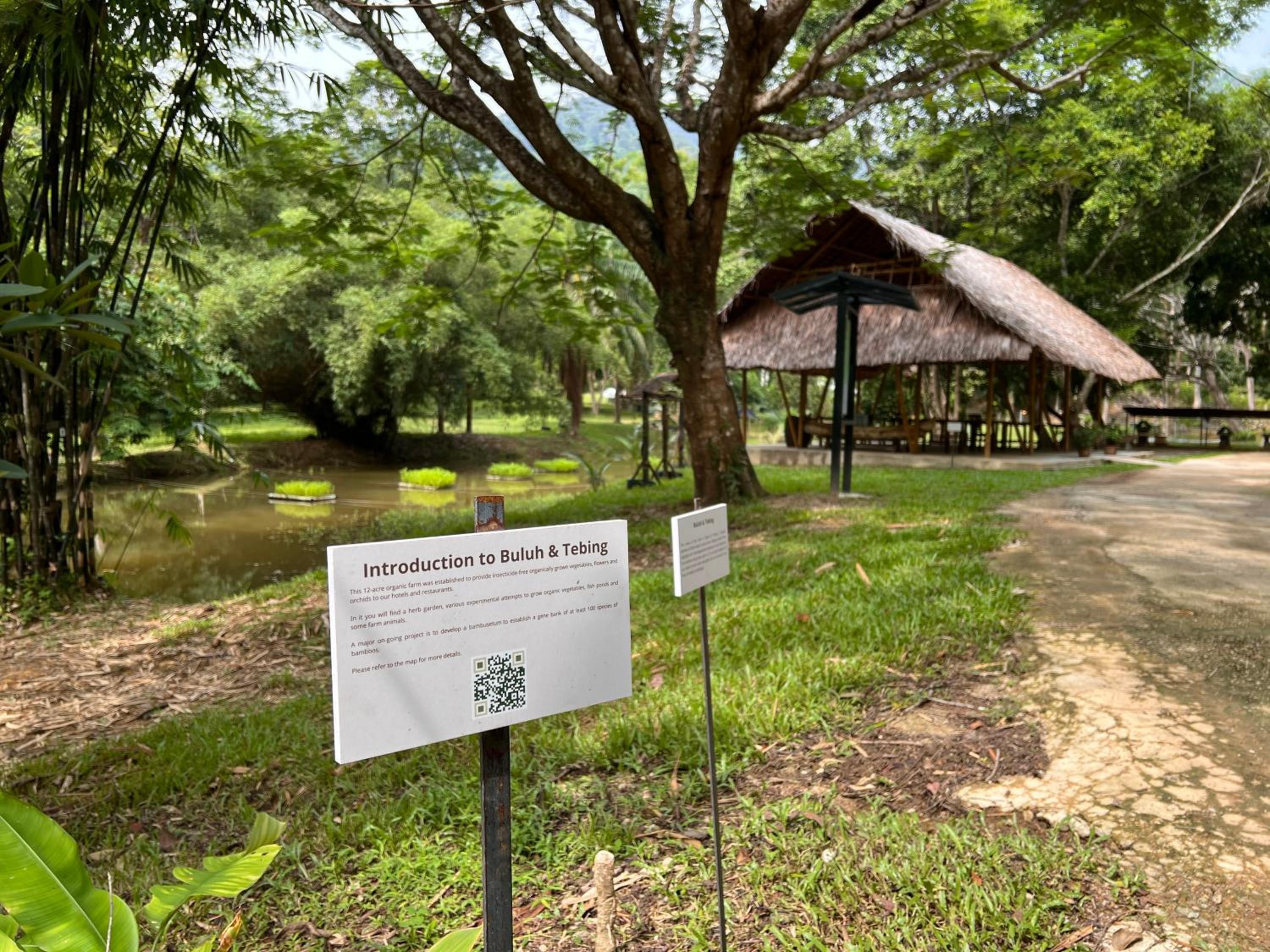 Ambong Rainforest Retreat — photo 32