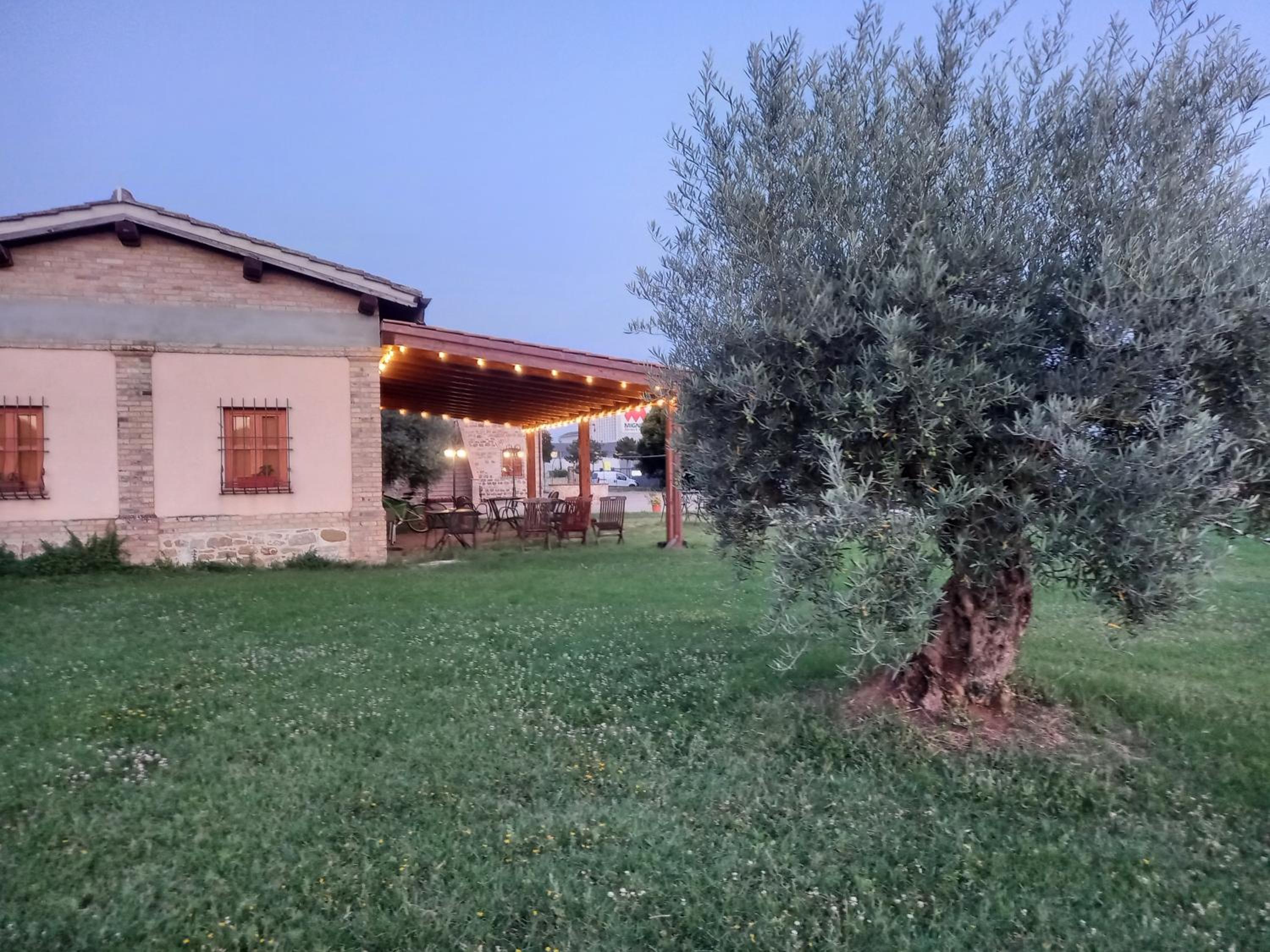 Photo 31