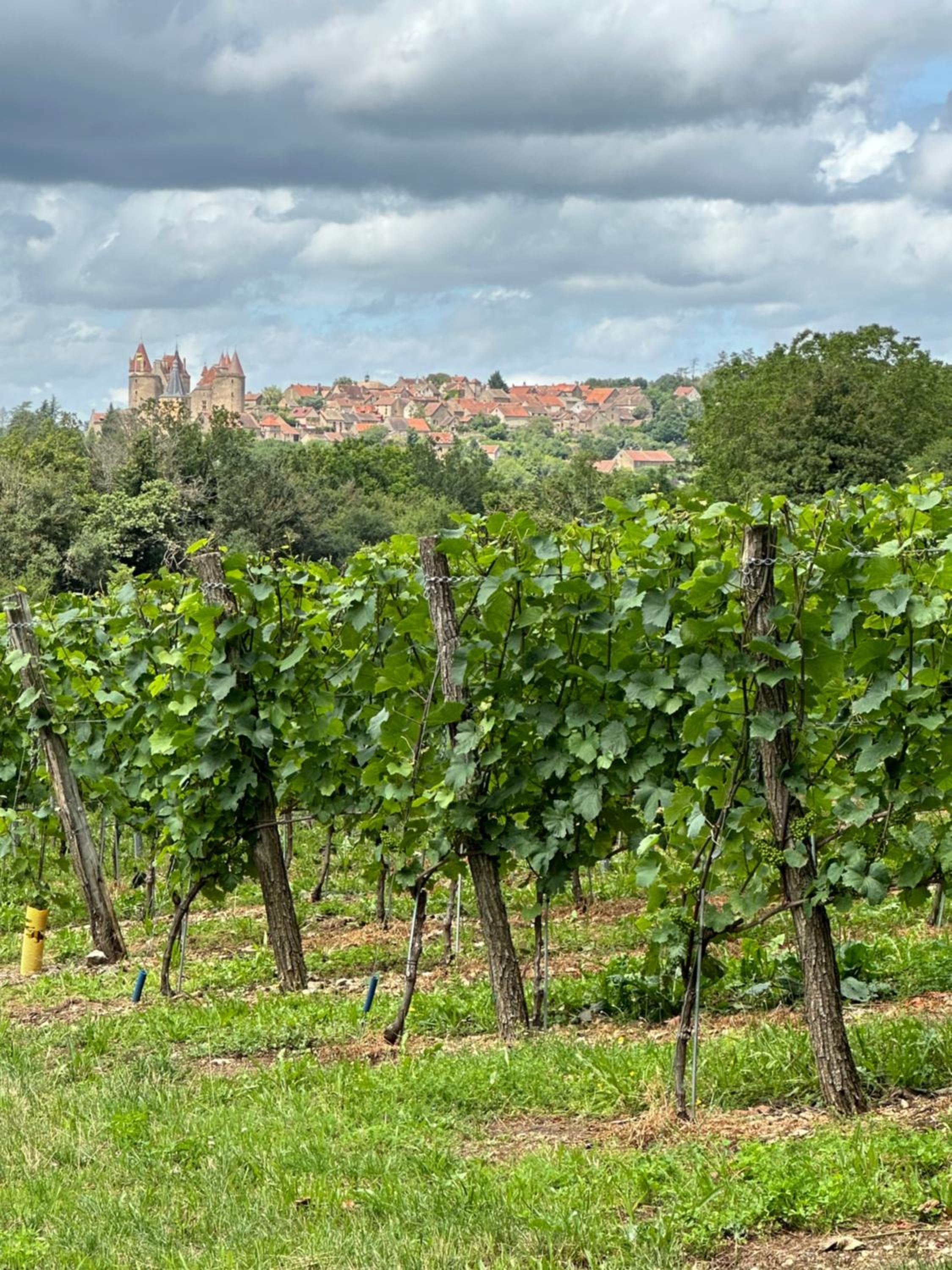 Châteauneuf Suites