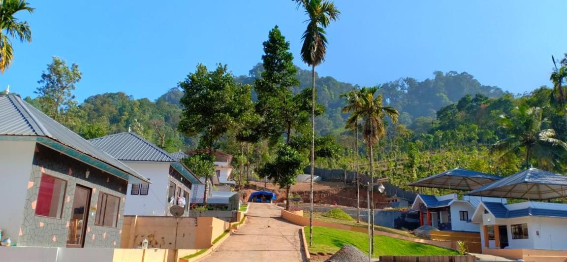 Moon Hill Farm Resort Munnar view 4