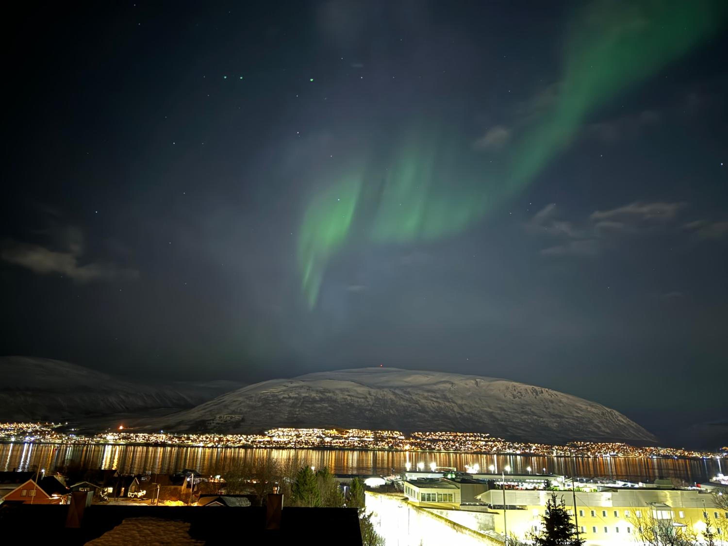 Arctic retreat - spacious apartment next to amazing nature