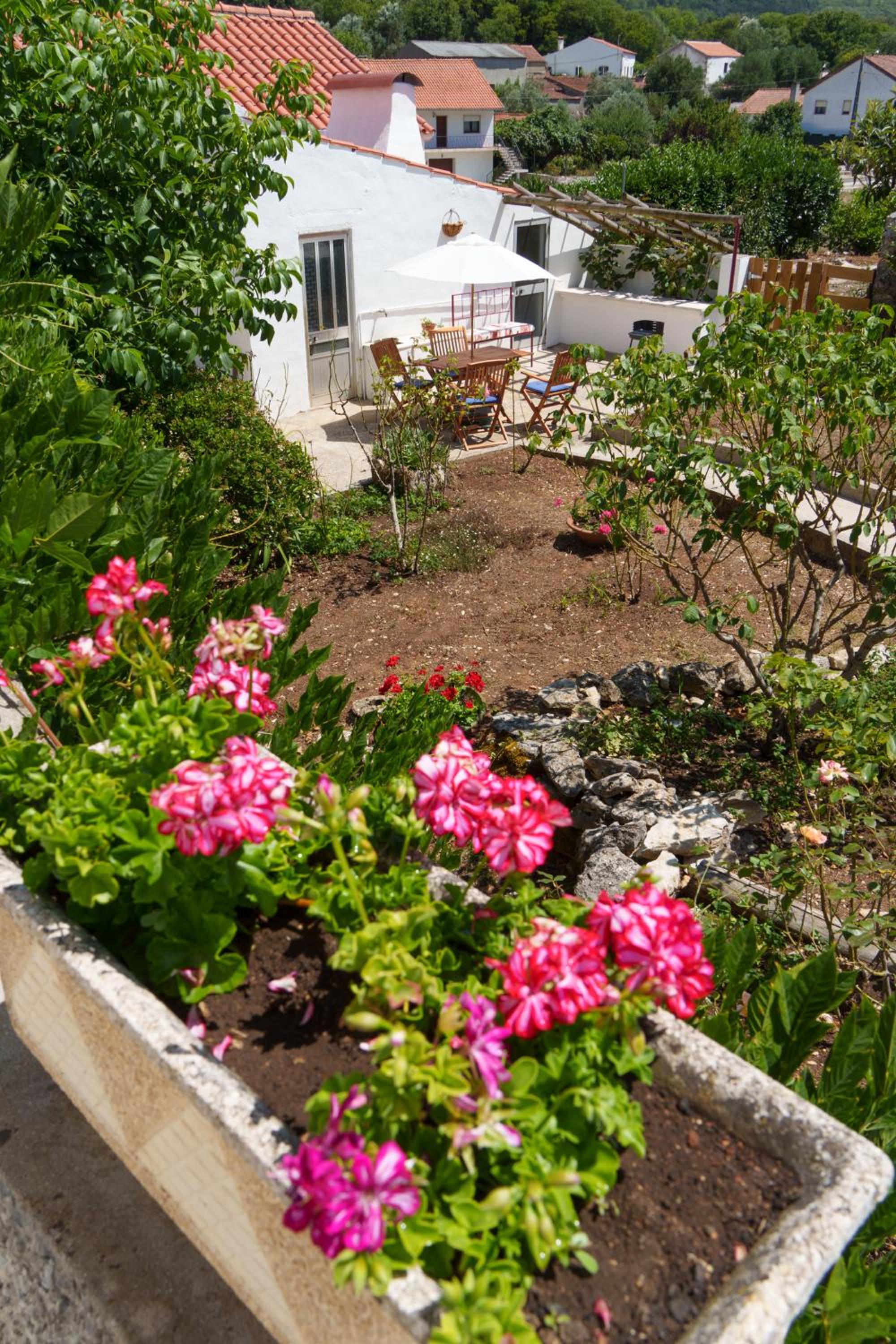 Photo 43