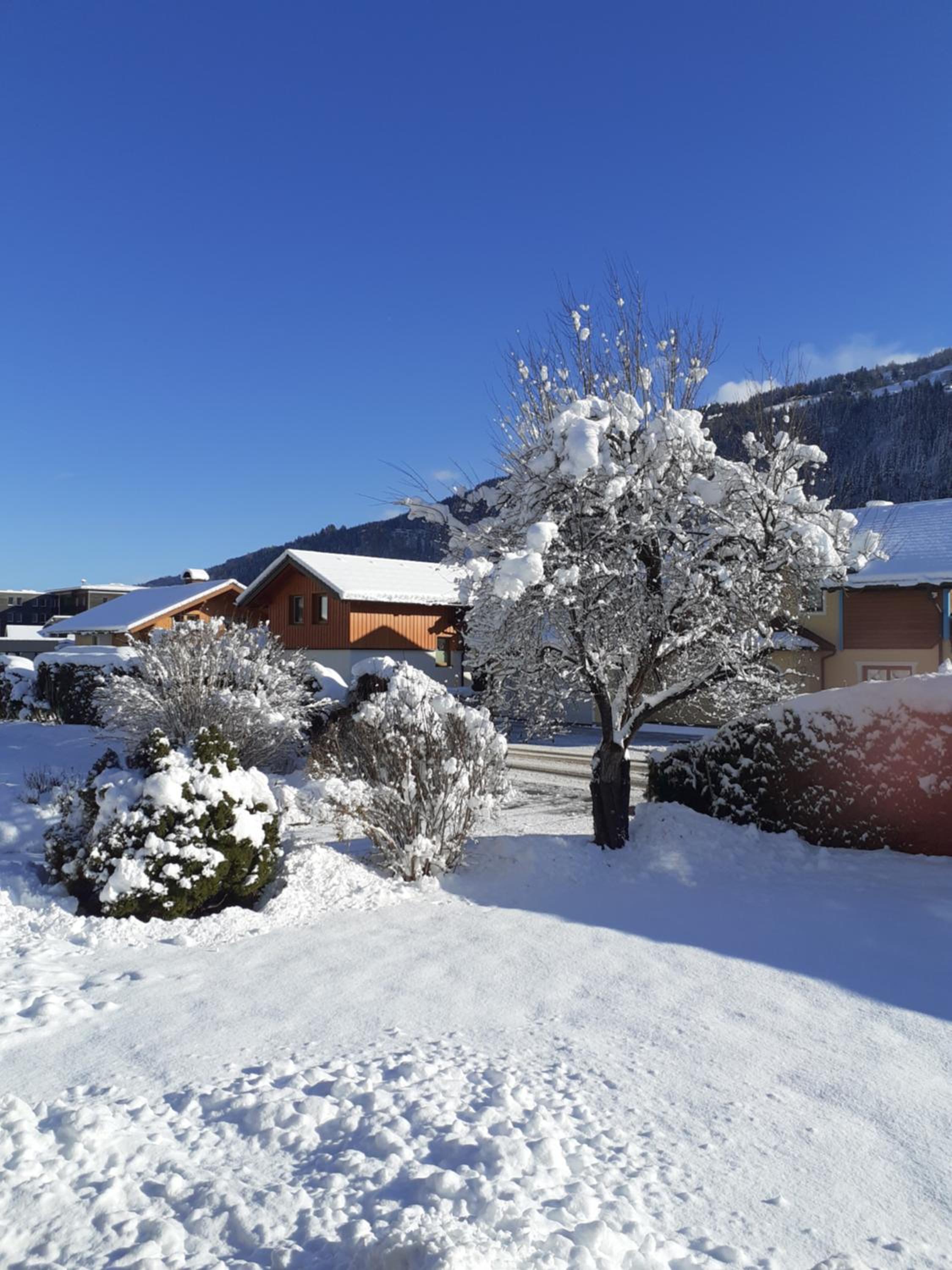 Appartement Steiner