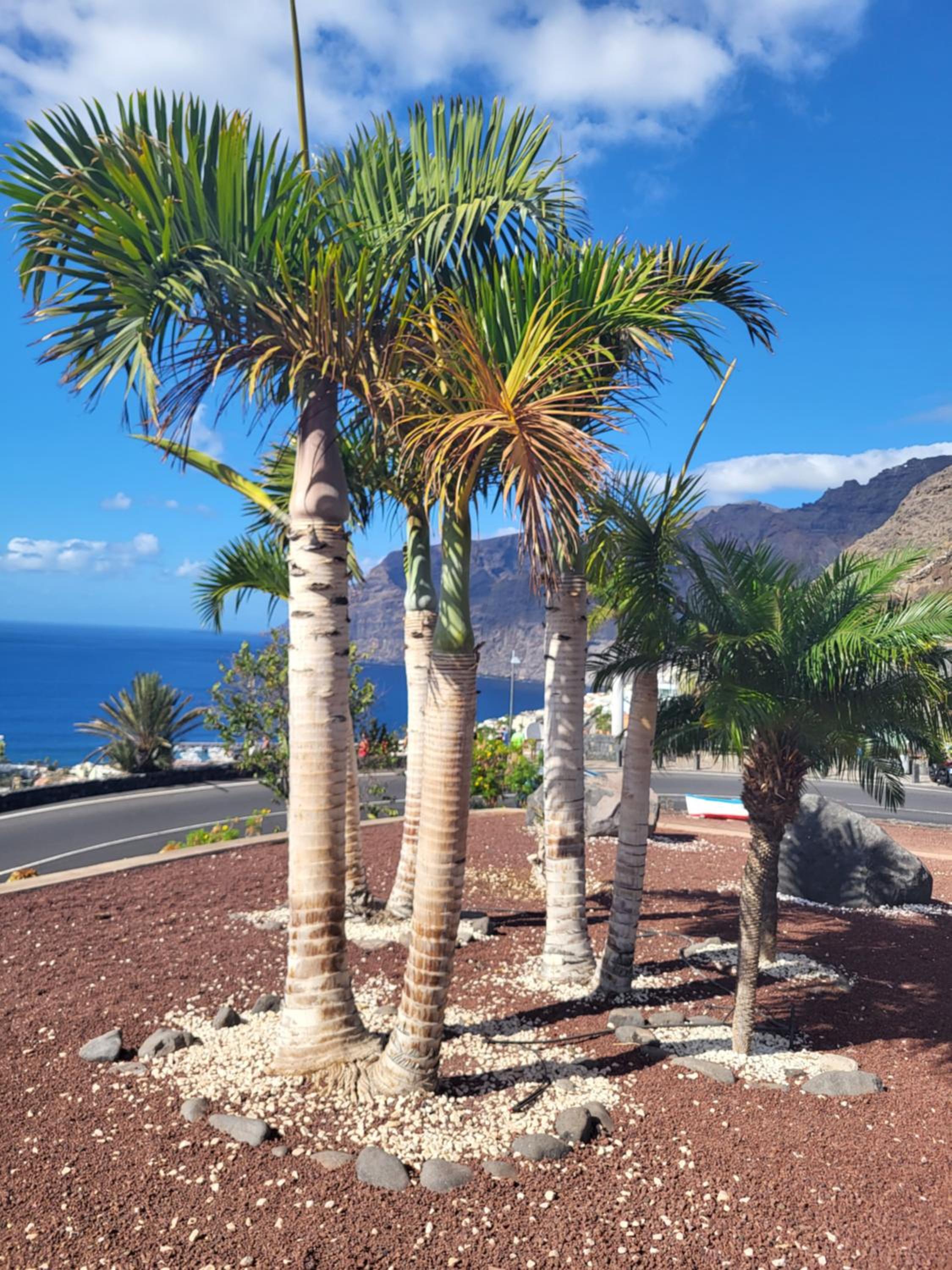 Apartamento Claudia en Lago Santiago con piscina