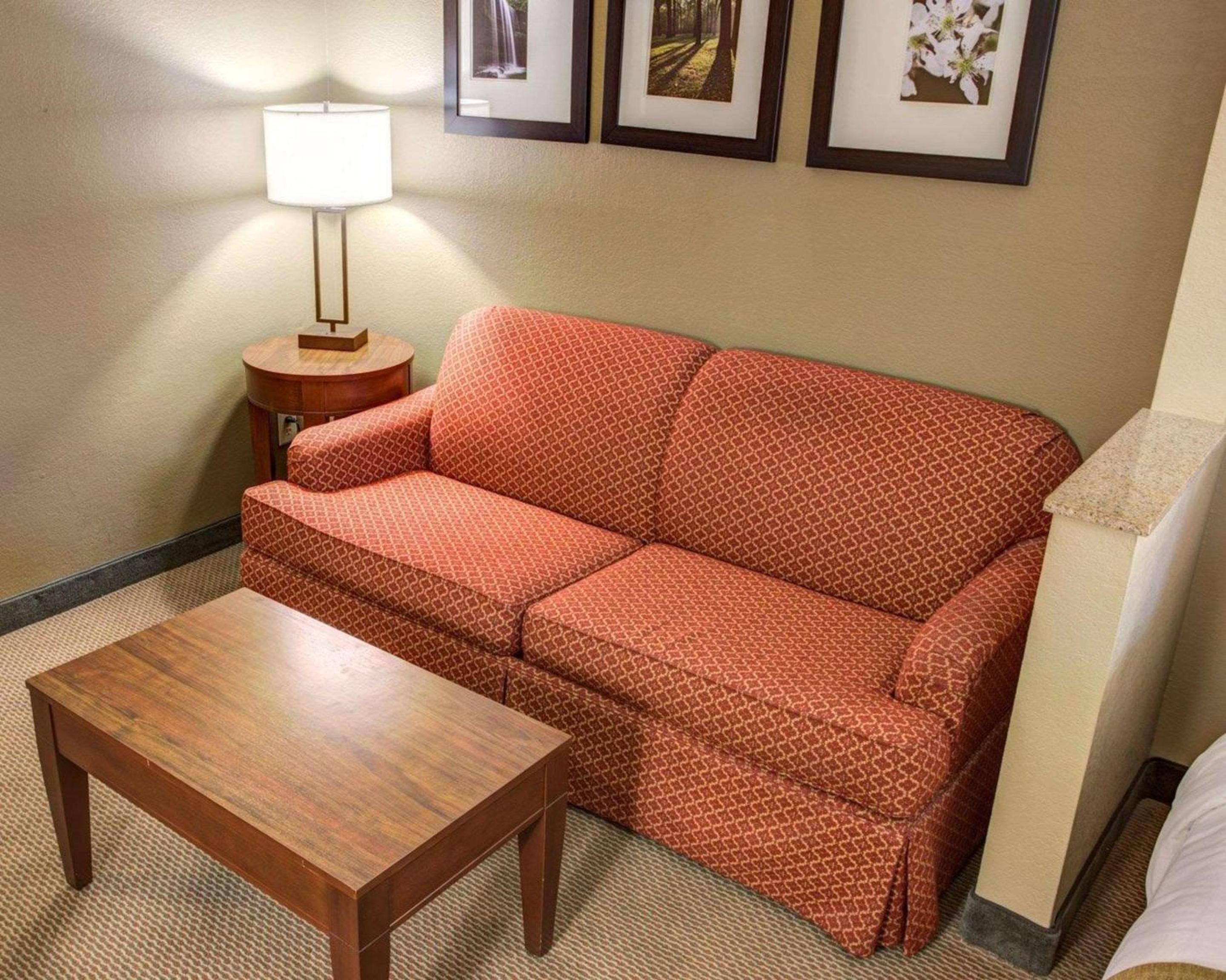 Gadsden Vacations - Comfort Suites Gadsden Attalla - Property Image 8