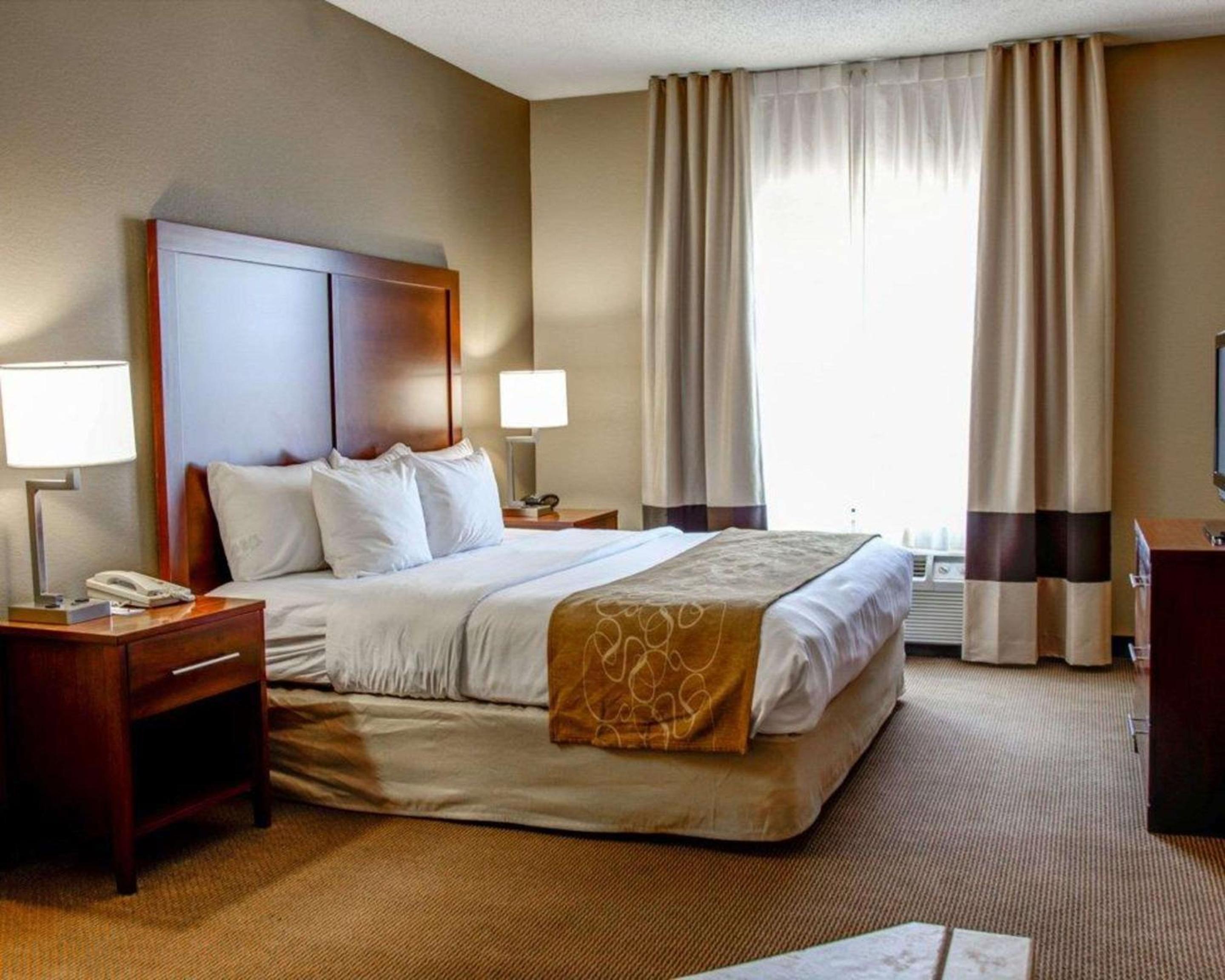 Gadsden Vacations - Comfort Suites Gadsden Attalla - Property Image 6