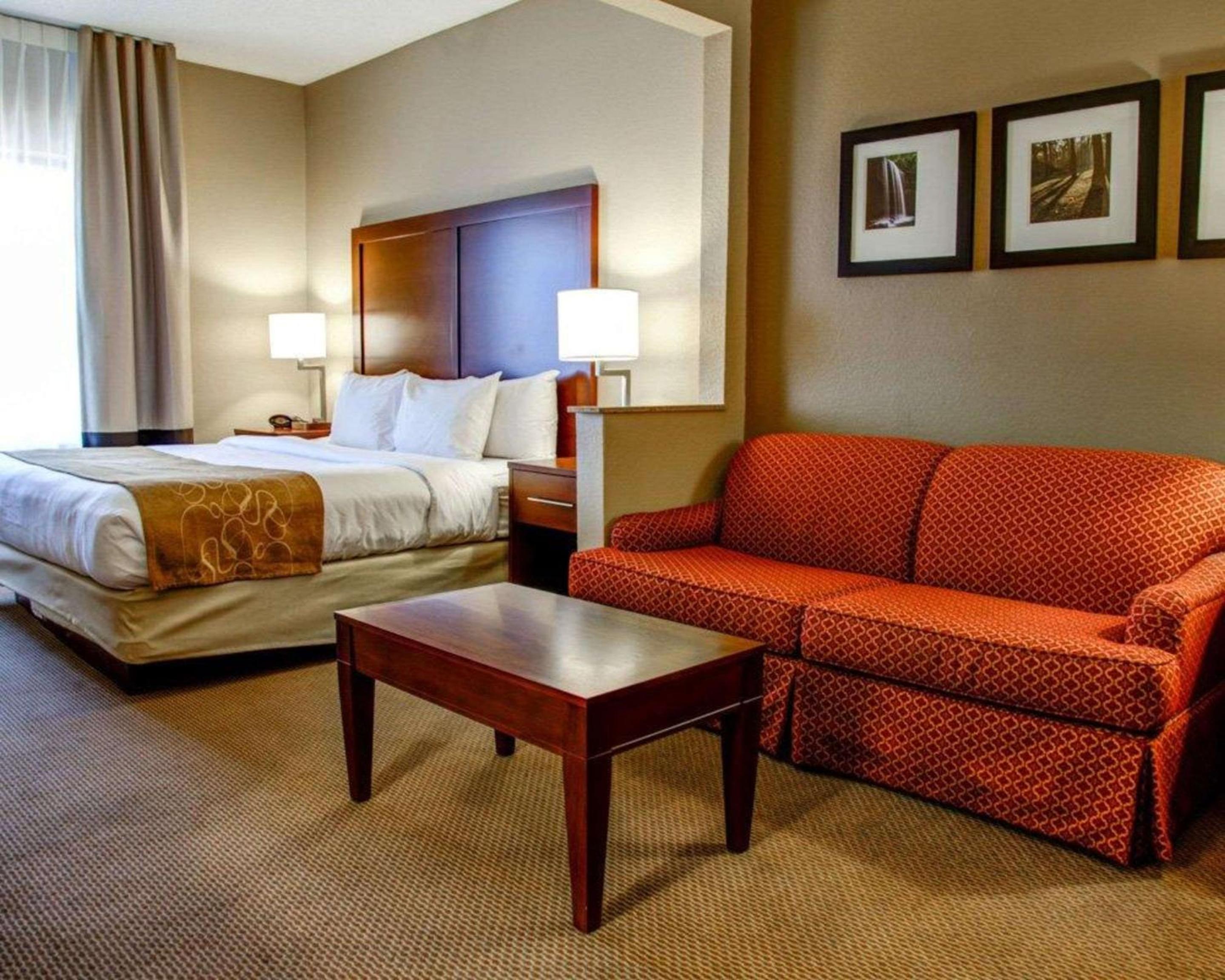 Gadsden Vacations - Comfort Suites Gadsden Attalla - Property Image 4