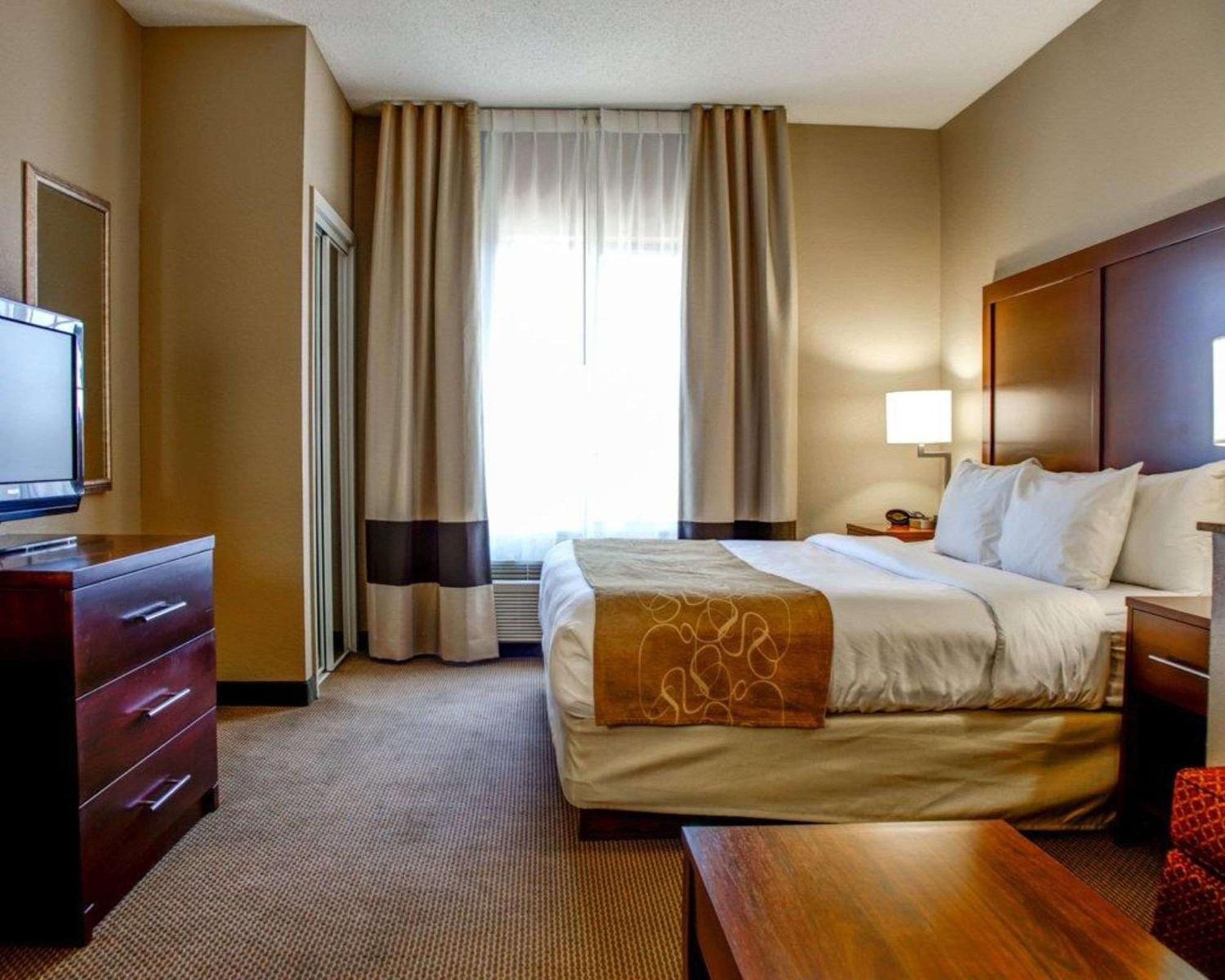 Gadsden Vacations - Comfort Suites Gadsden Attalla - Property Image 3