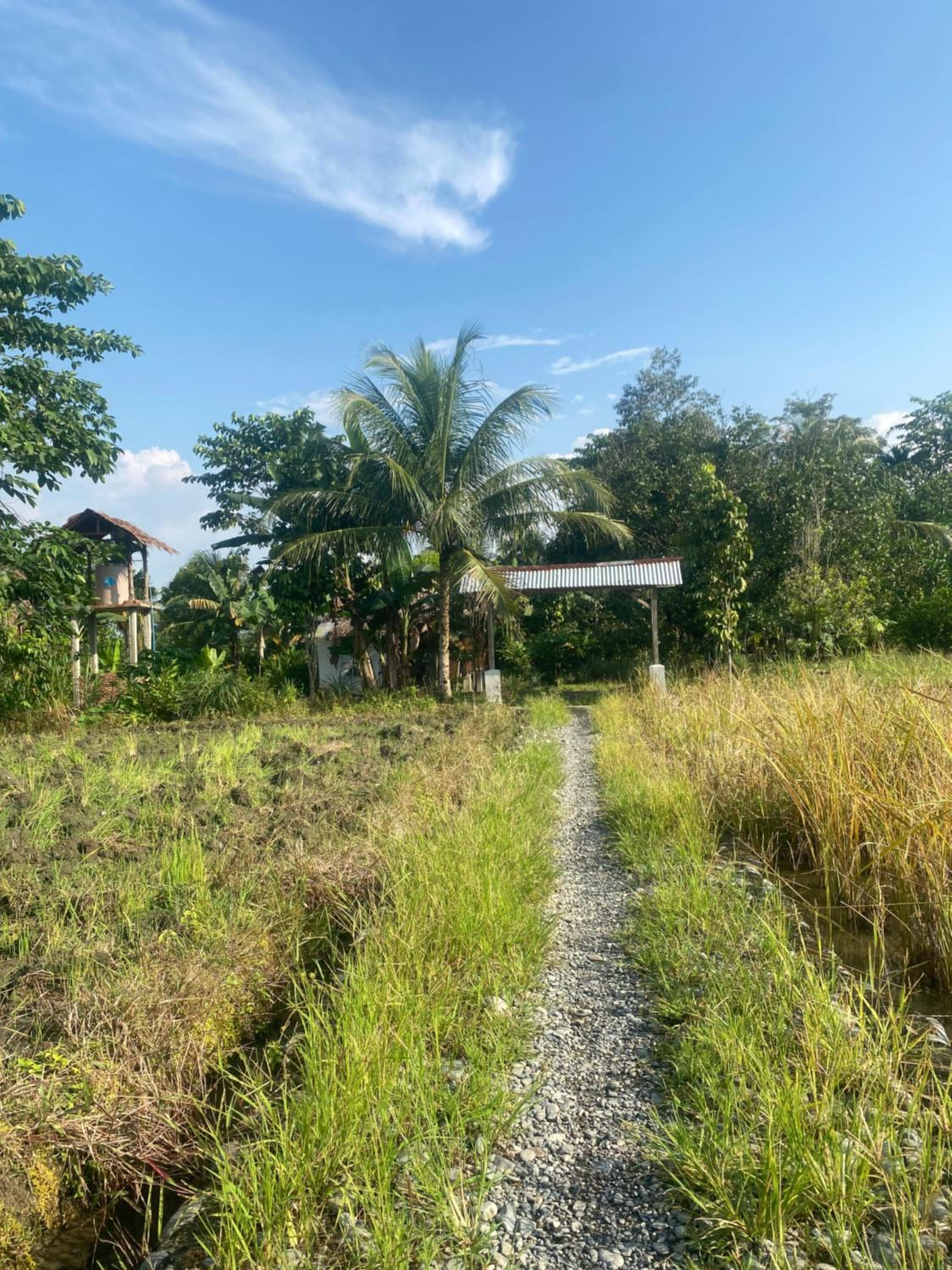 Darma Homestay