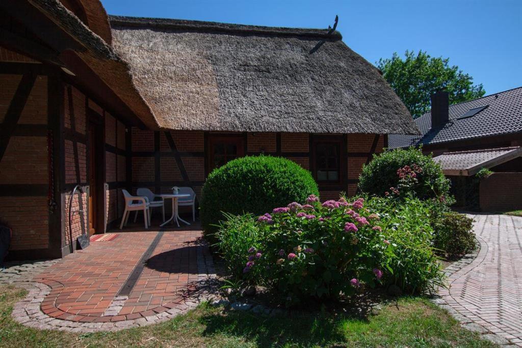 Aurelia, Ferienwohnung