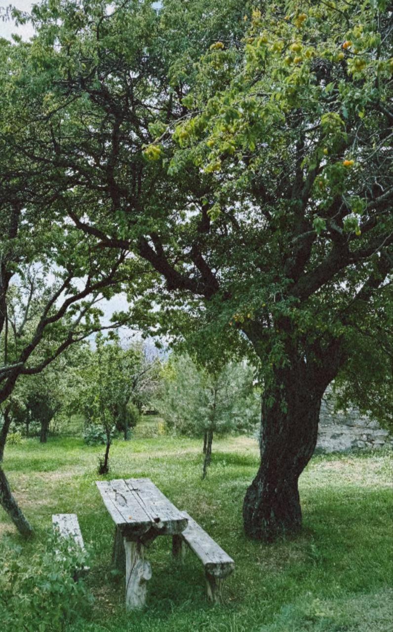 Artanish Guest House