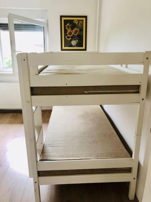 Apartma Laganini