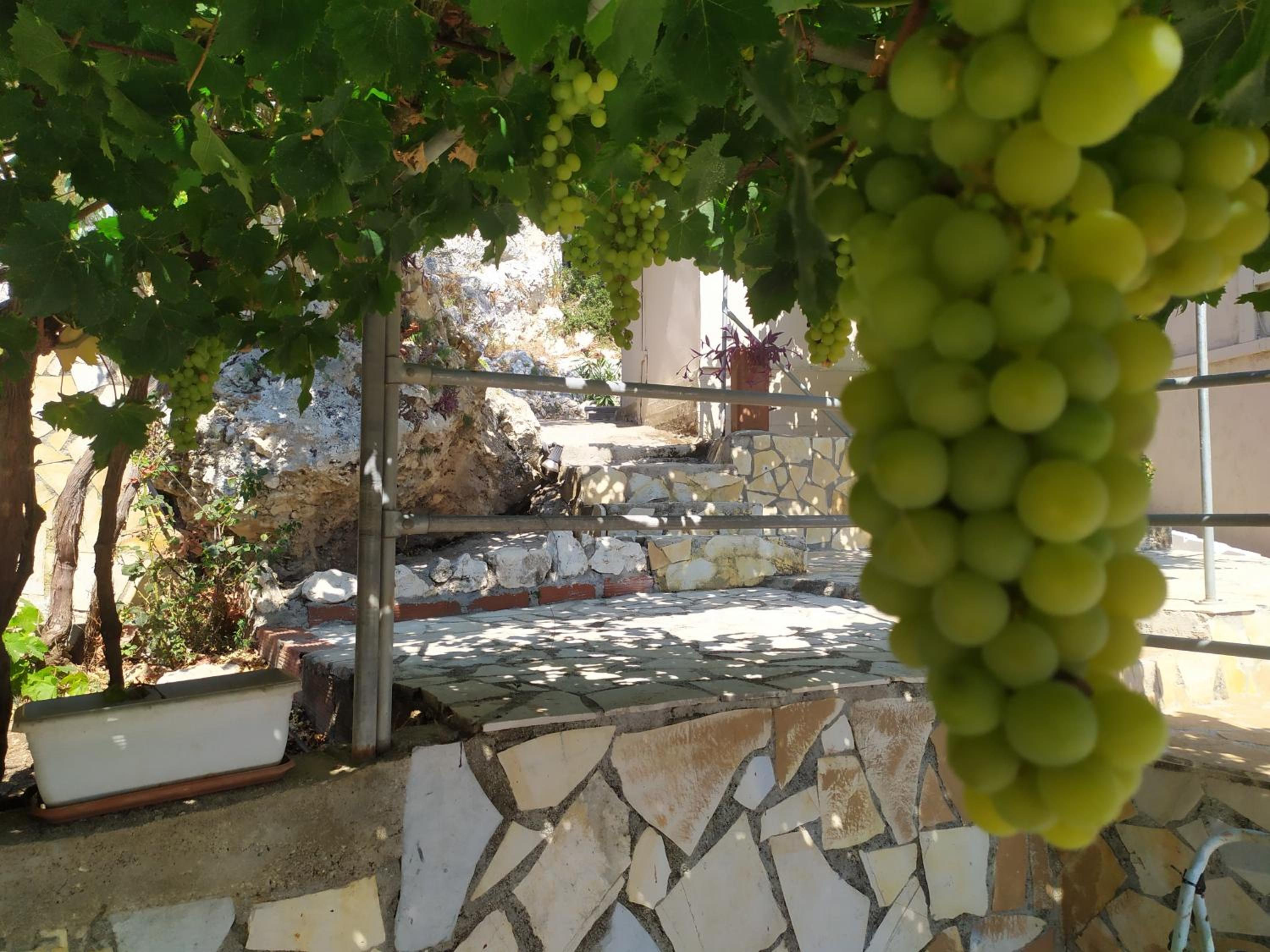 Agnadema House photo 5