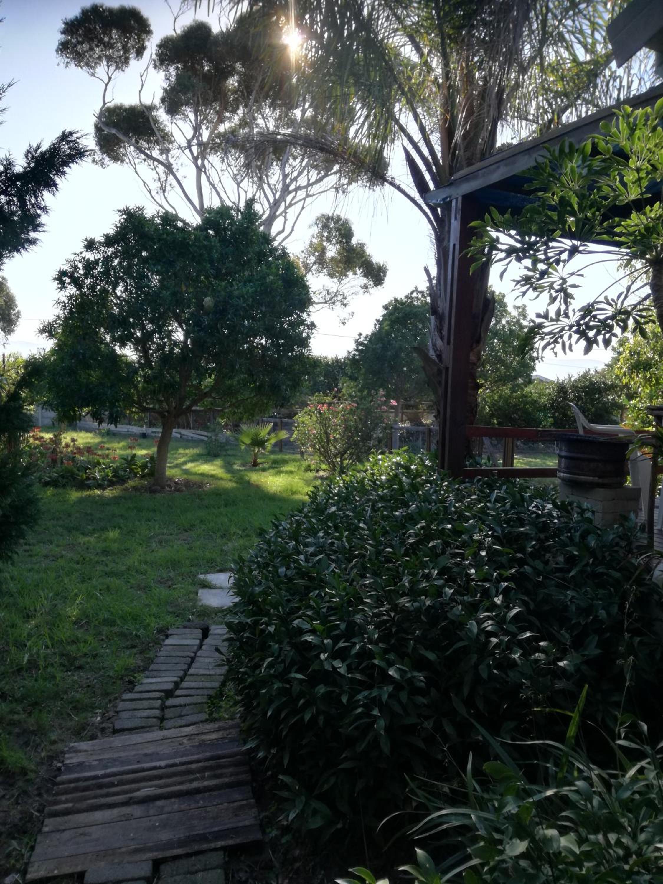 Photo 44