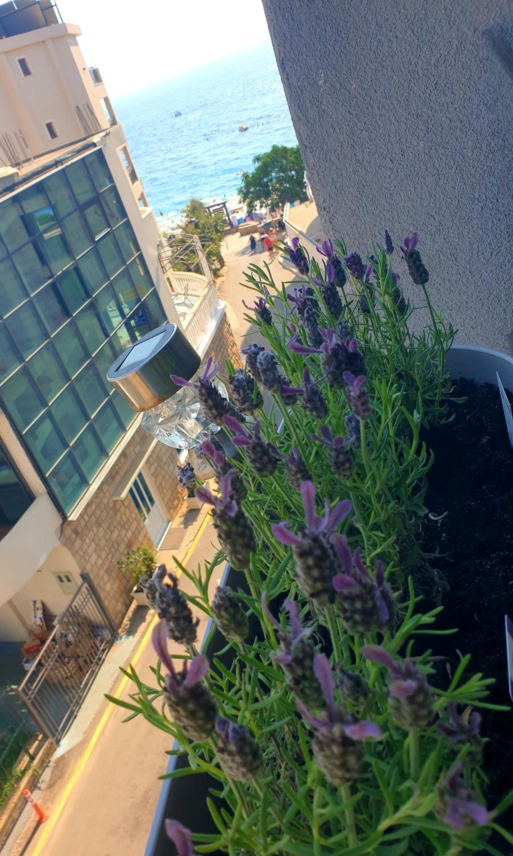 Lavender Apartment - Close to the Beach - Private Garage Parking view 5
