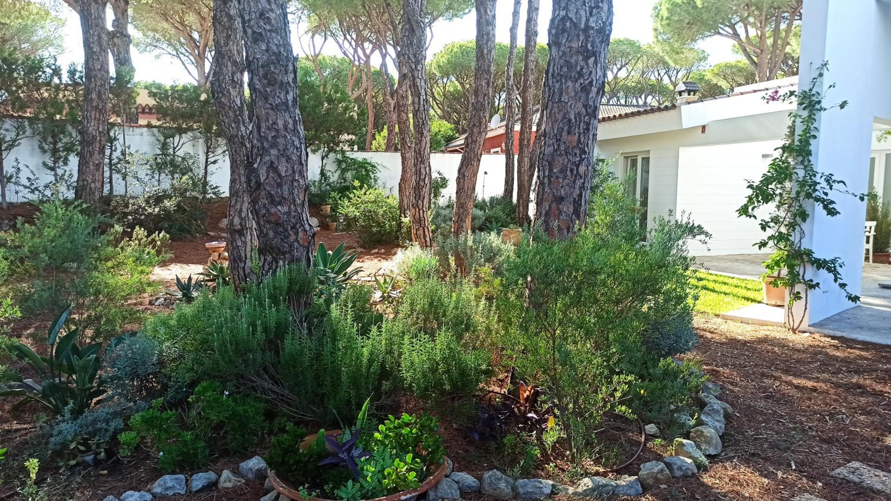 Photo 23