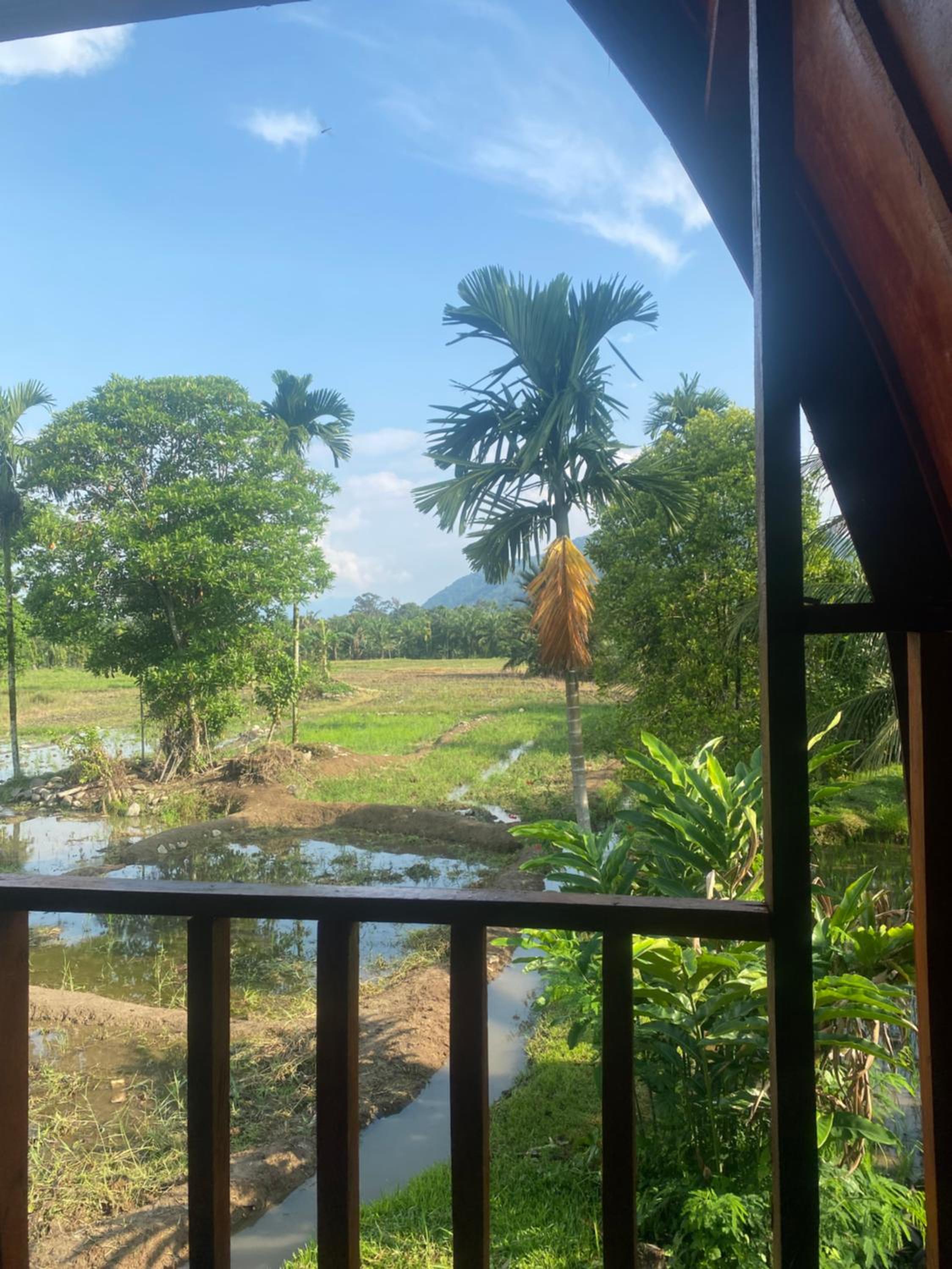 Darma Homestay