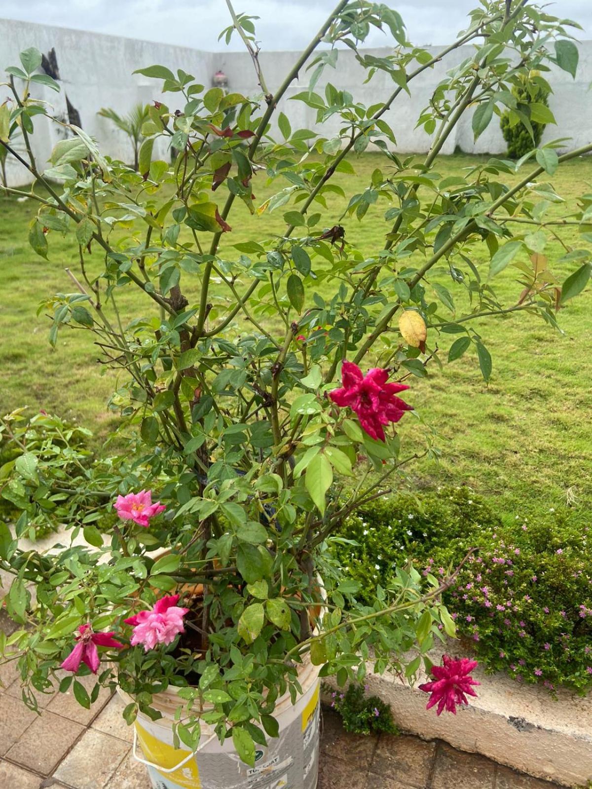 Bhaktivilla