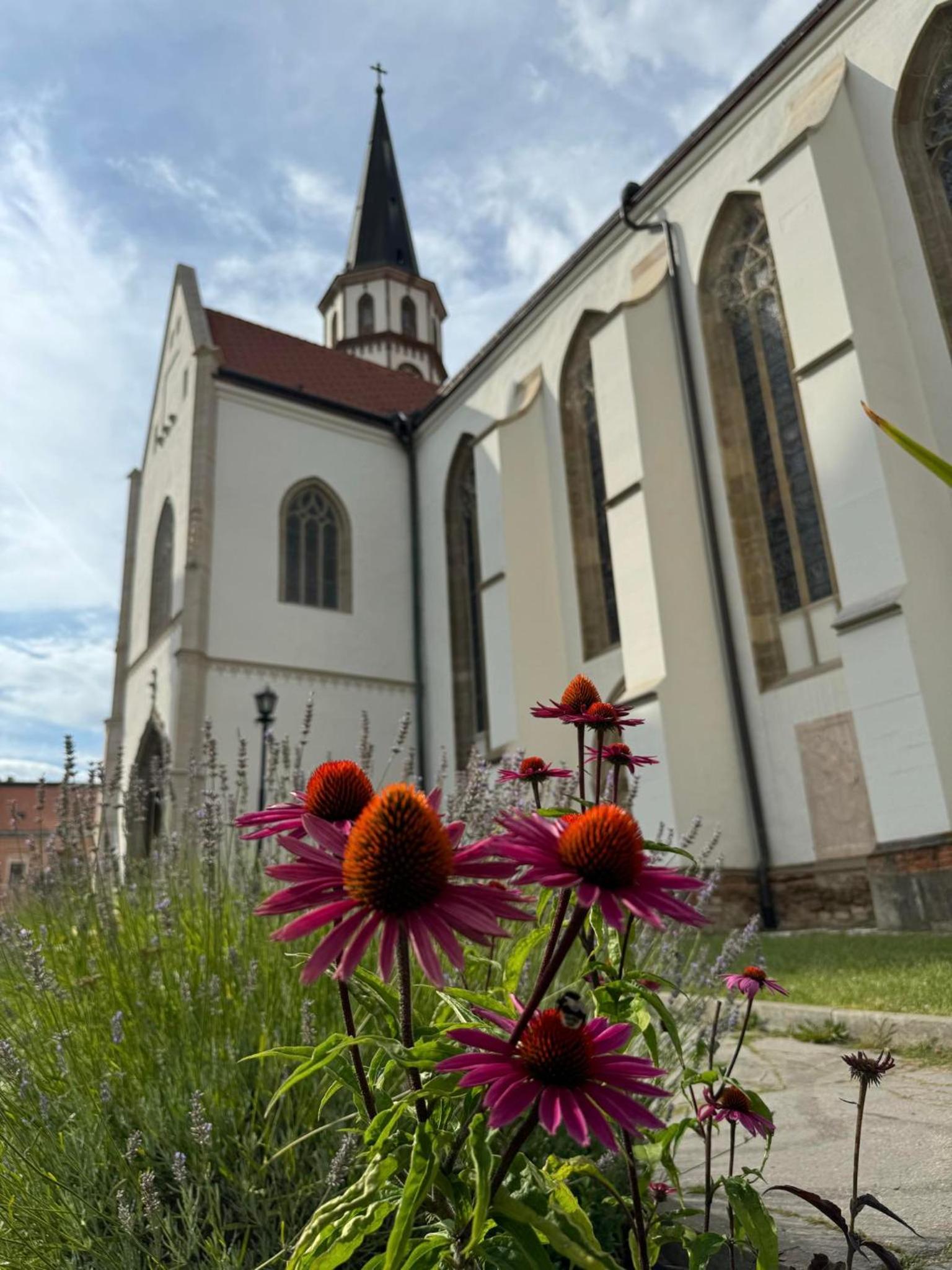 Ubytovanie pri hradbách