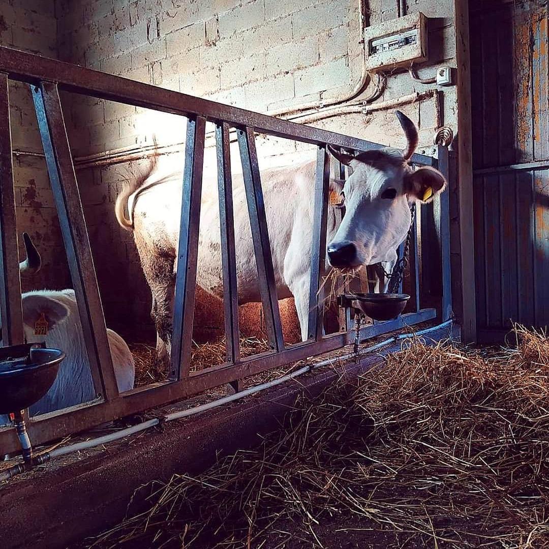 Agriturismo L'Essiccatoio