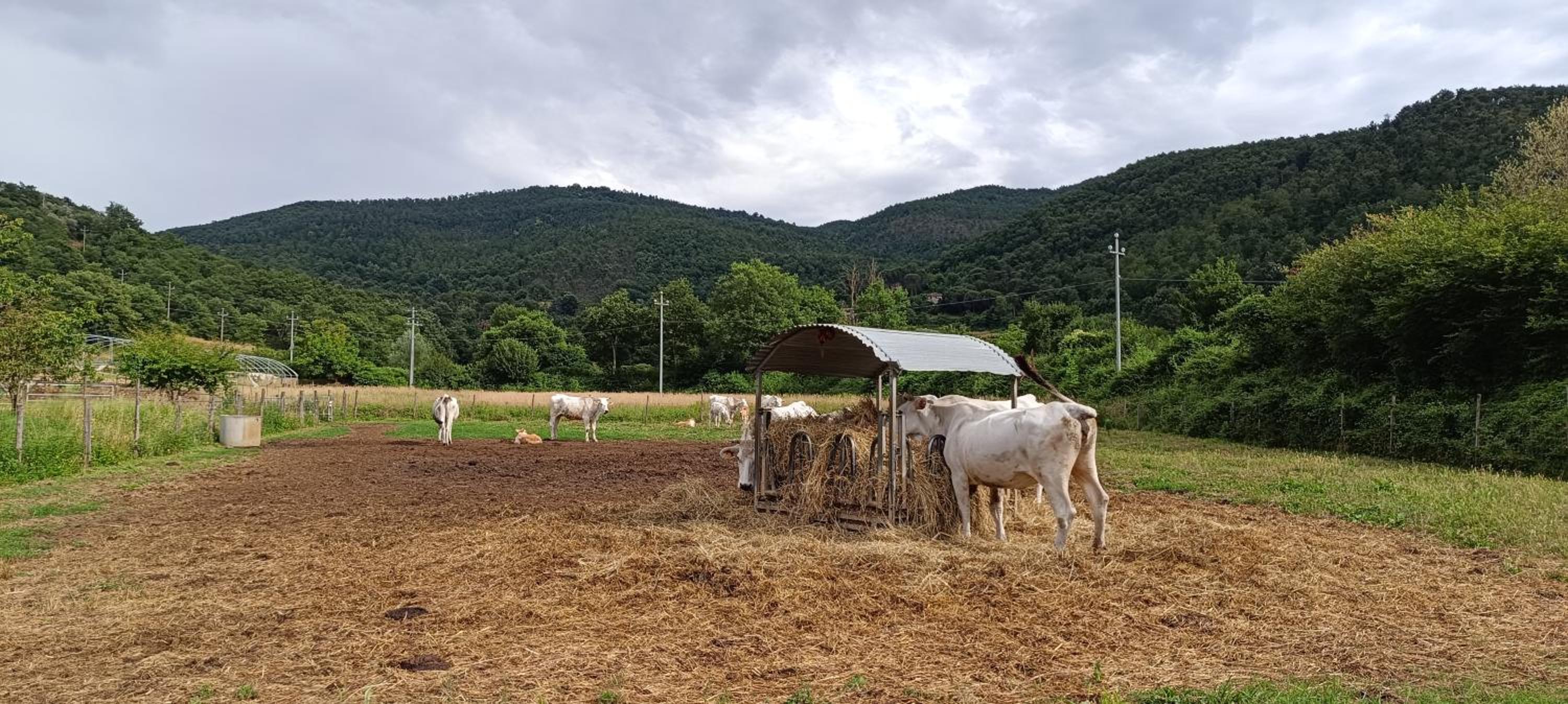 Agriturismo L'Essiccatoio
