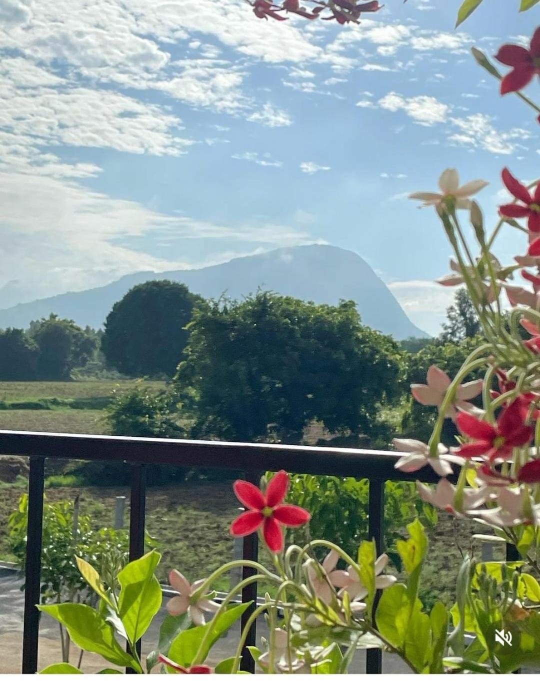 Tuscan Breeze, Nandi Hills