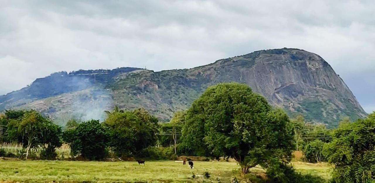 Tuscan Breeze, Nandi Hills