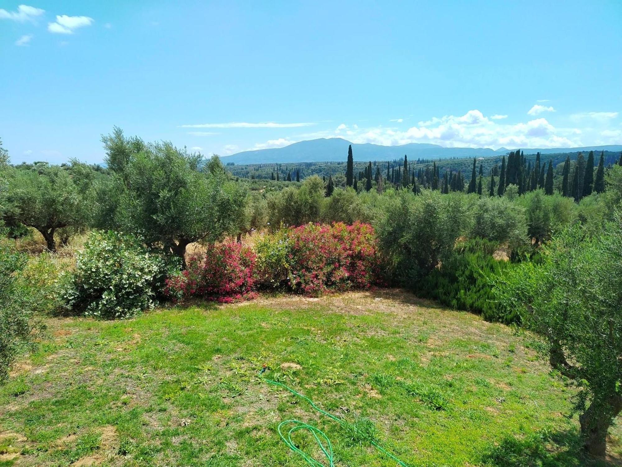 Peaceful Retreat in Olive Grove with Endless Views view 5