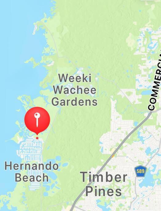 Cabin by the Sea - Waterfront Direct Gulf Access- Pontoon Boat Rental On Site or Bring Your Boat- Paddlecraft included view 3