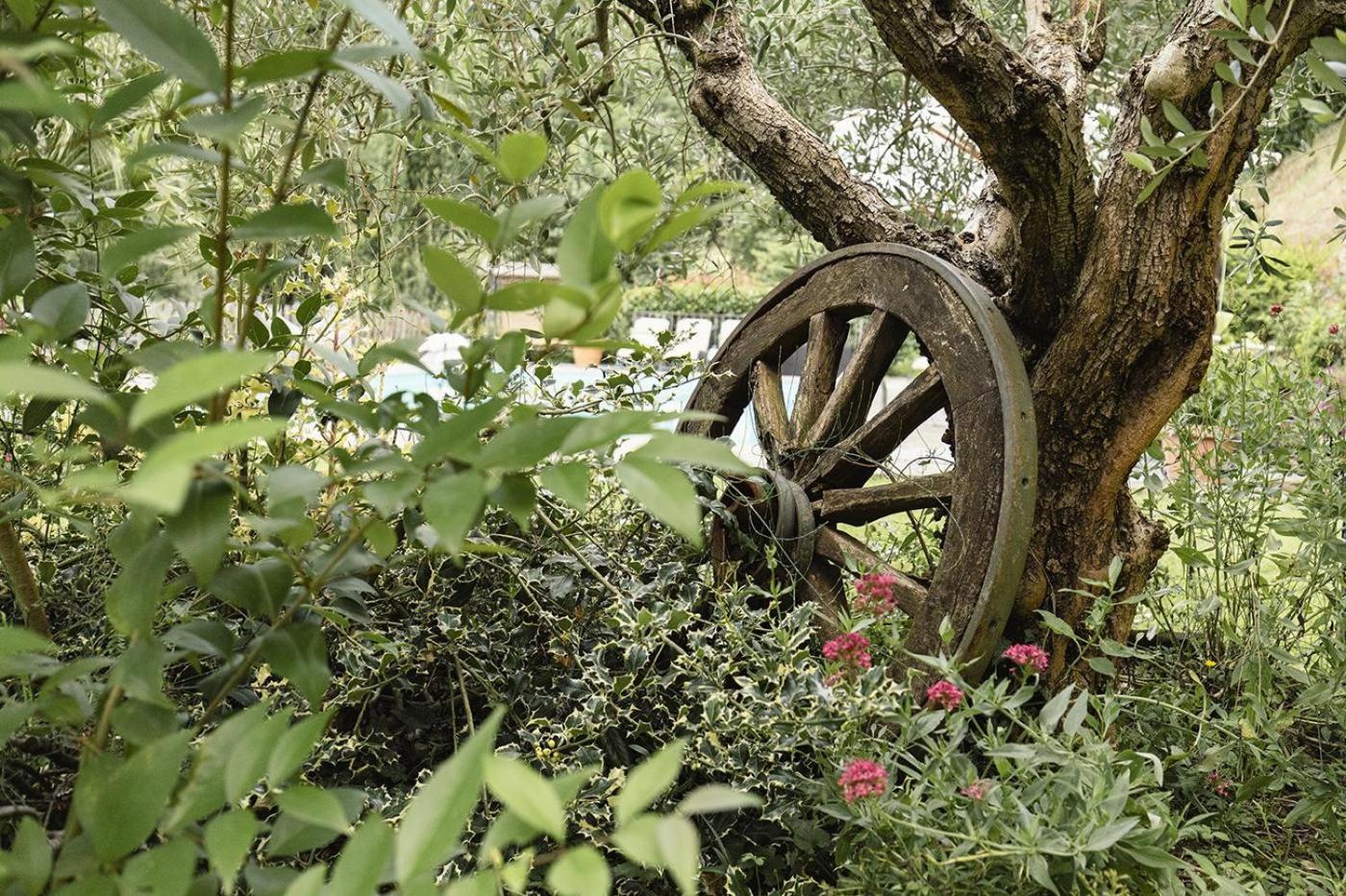 Agriturismo L'Essiccatoio