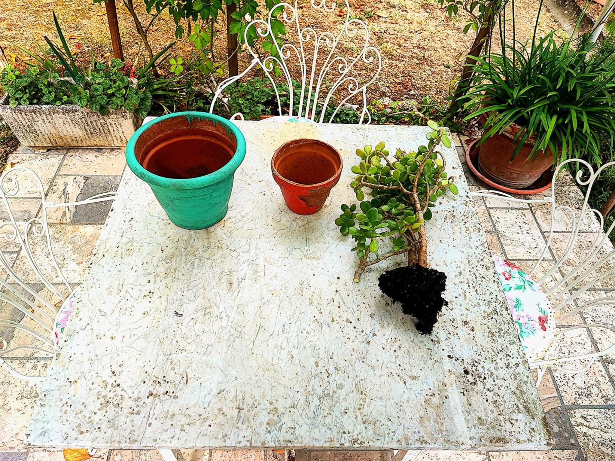 Photo 28
