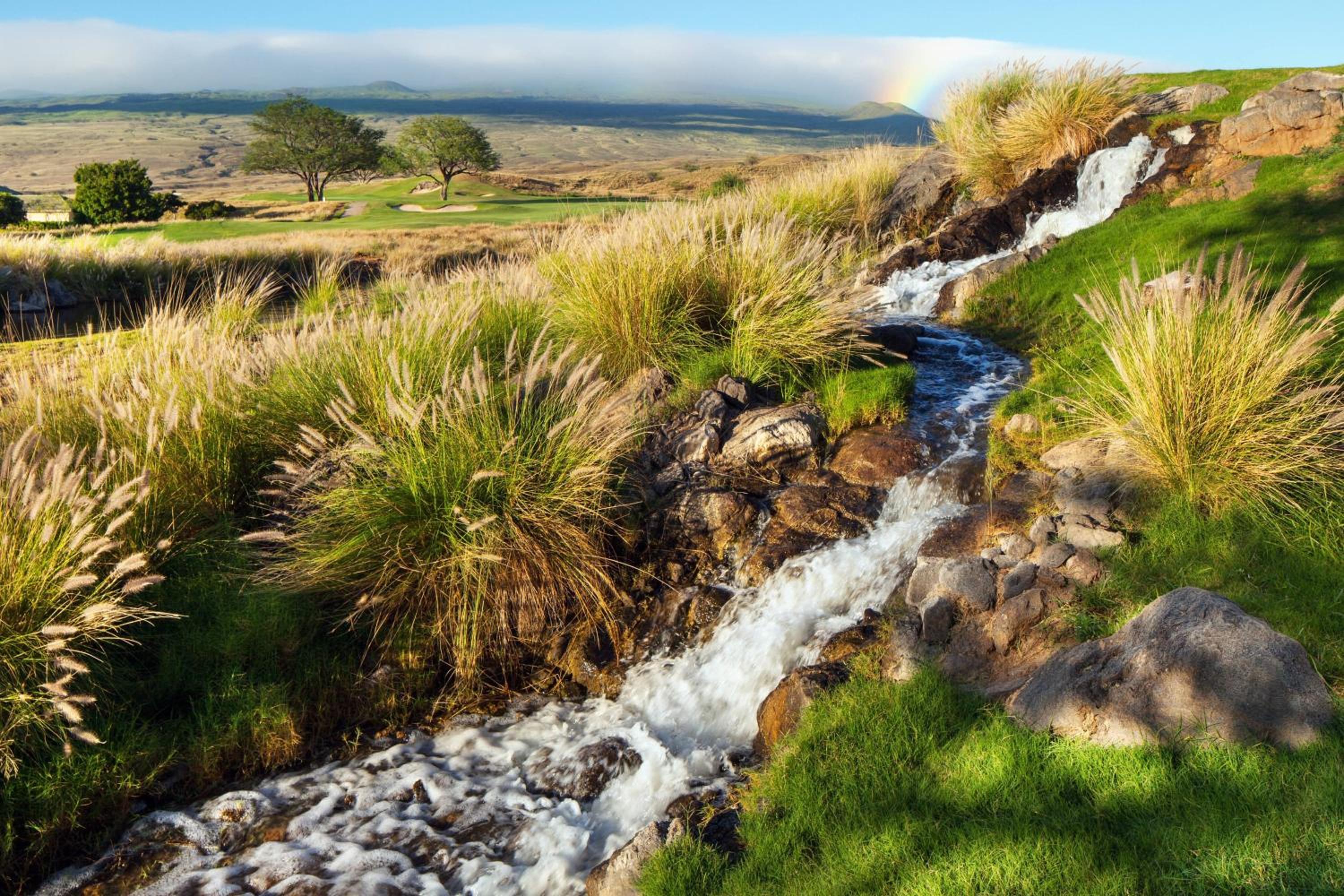 The Westin Hapuna Beach Resort - Property Image 85
