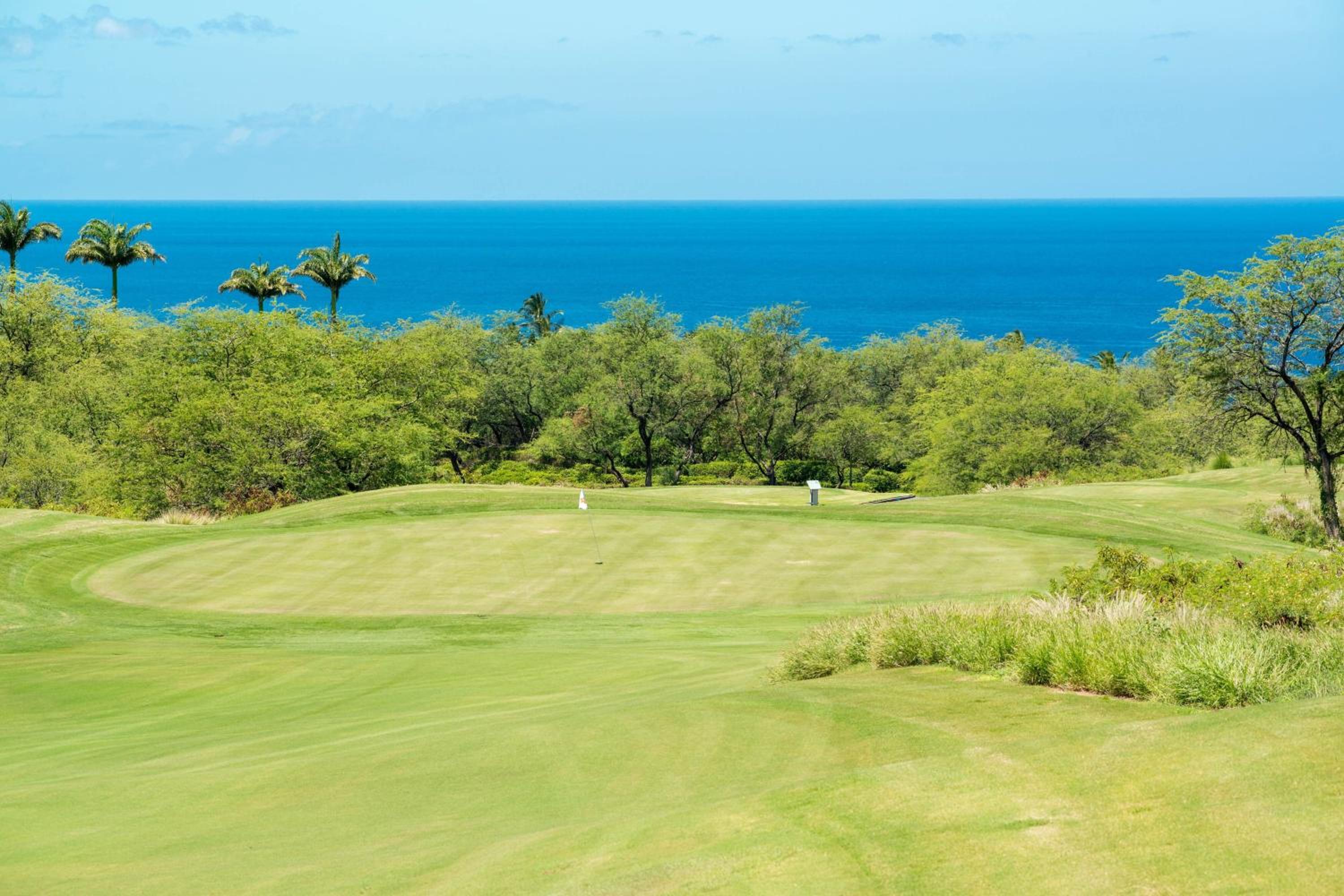 The Westin Hapuna Beach Resort - Property Image 100