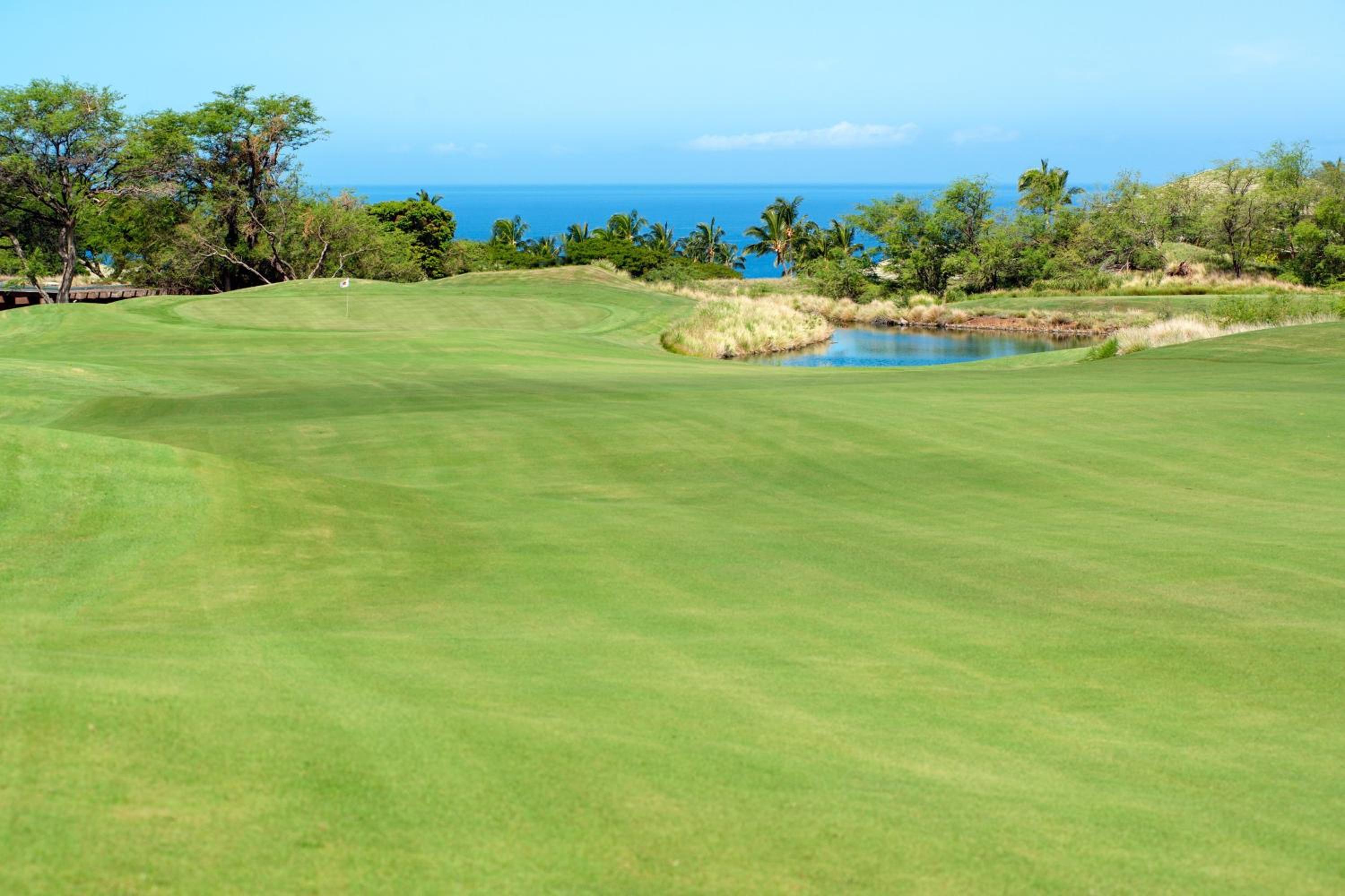 The Westin Hapuna Beach Resort - Property Image 87