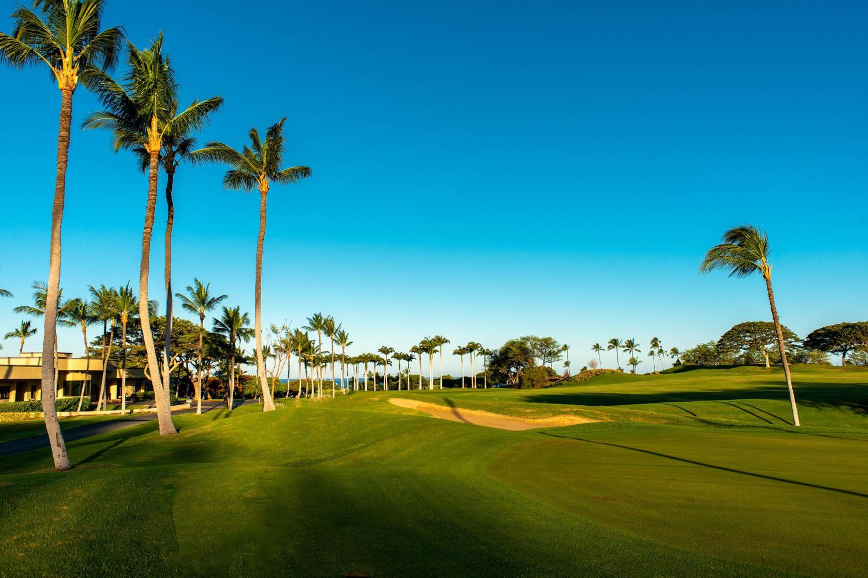 The Westin Hapuna Beach Resort - Property Image 173