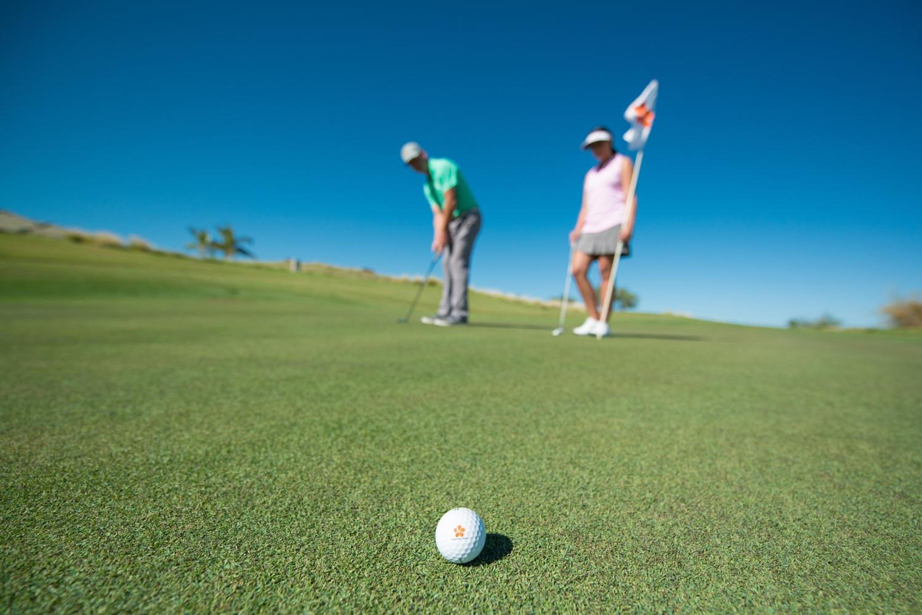 The Westin Hapuna Beach Resort - Property Image 91
