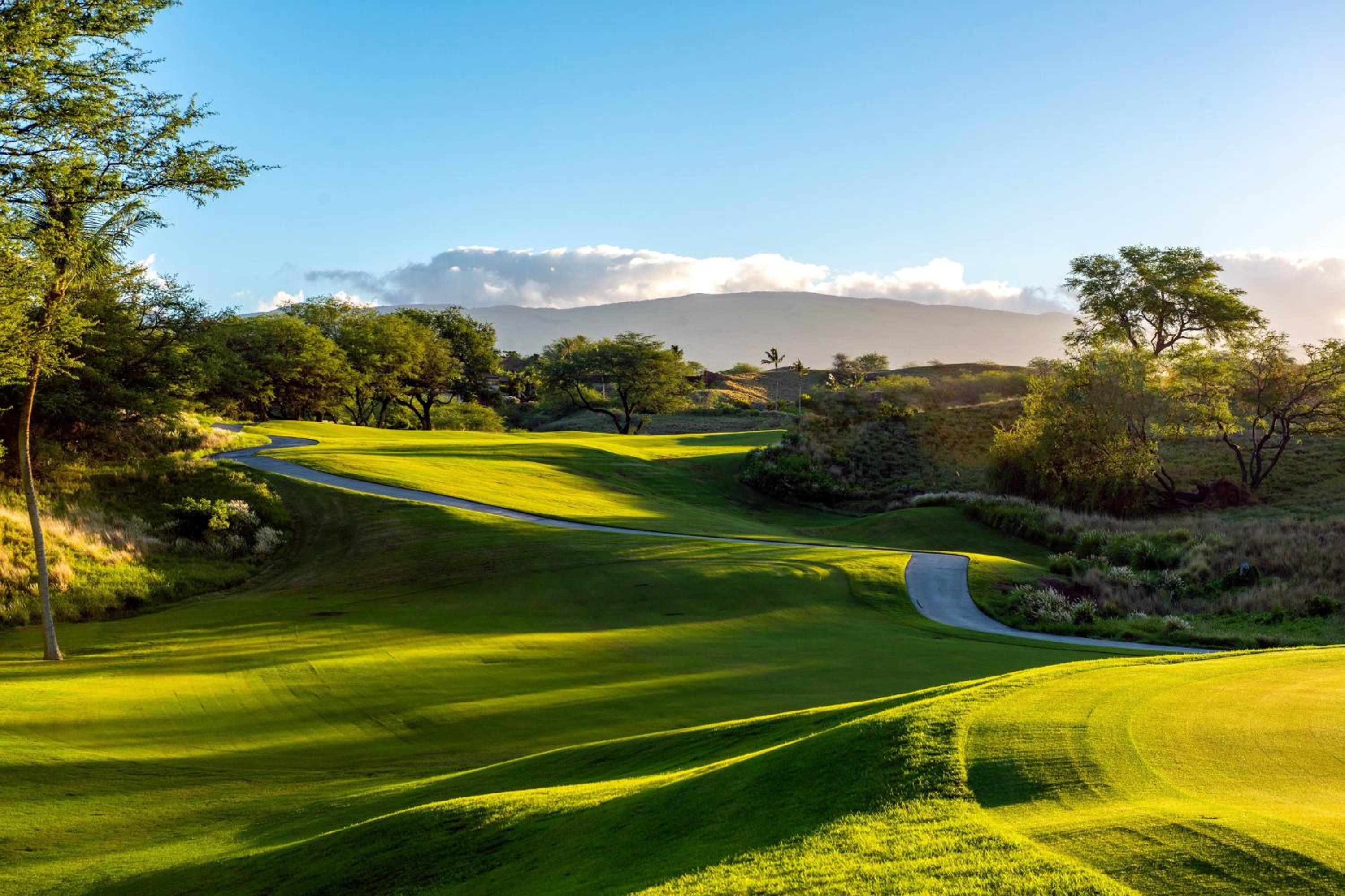 The Westin Hapuna Beach Resort - Property Image 180
