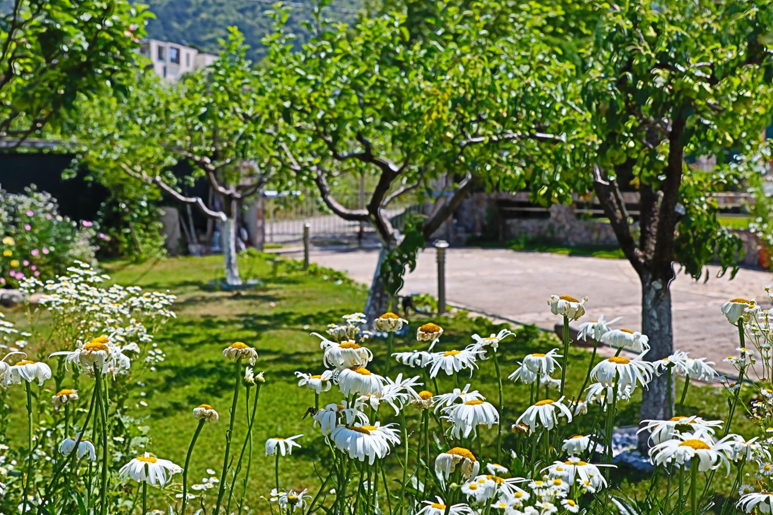Holiday House Kubrat