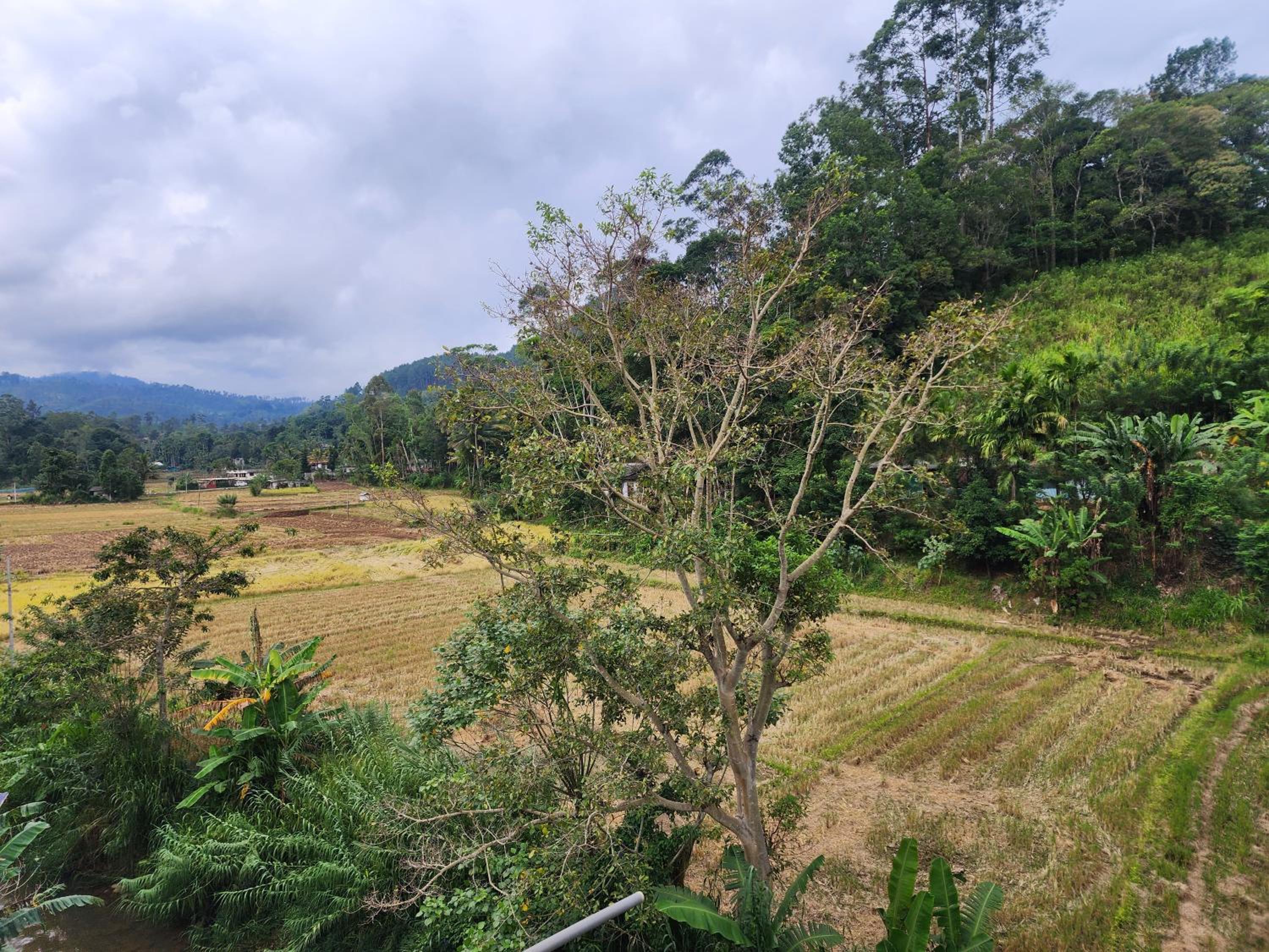 Onel Rest Inn