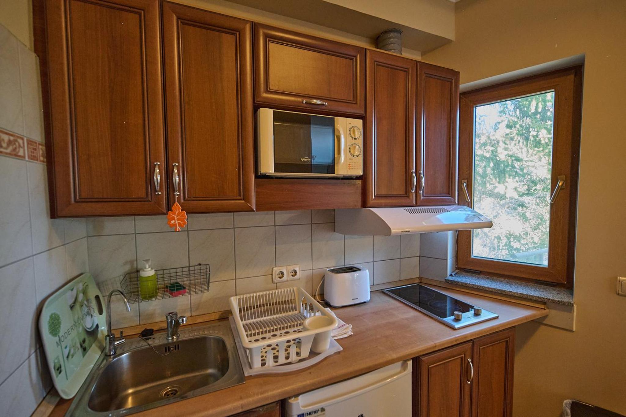 Carolina Apartman view 5