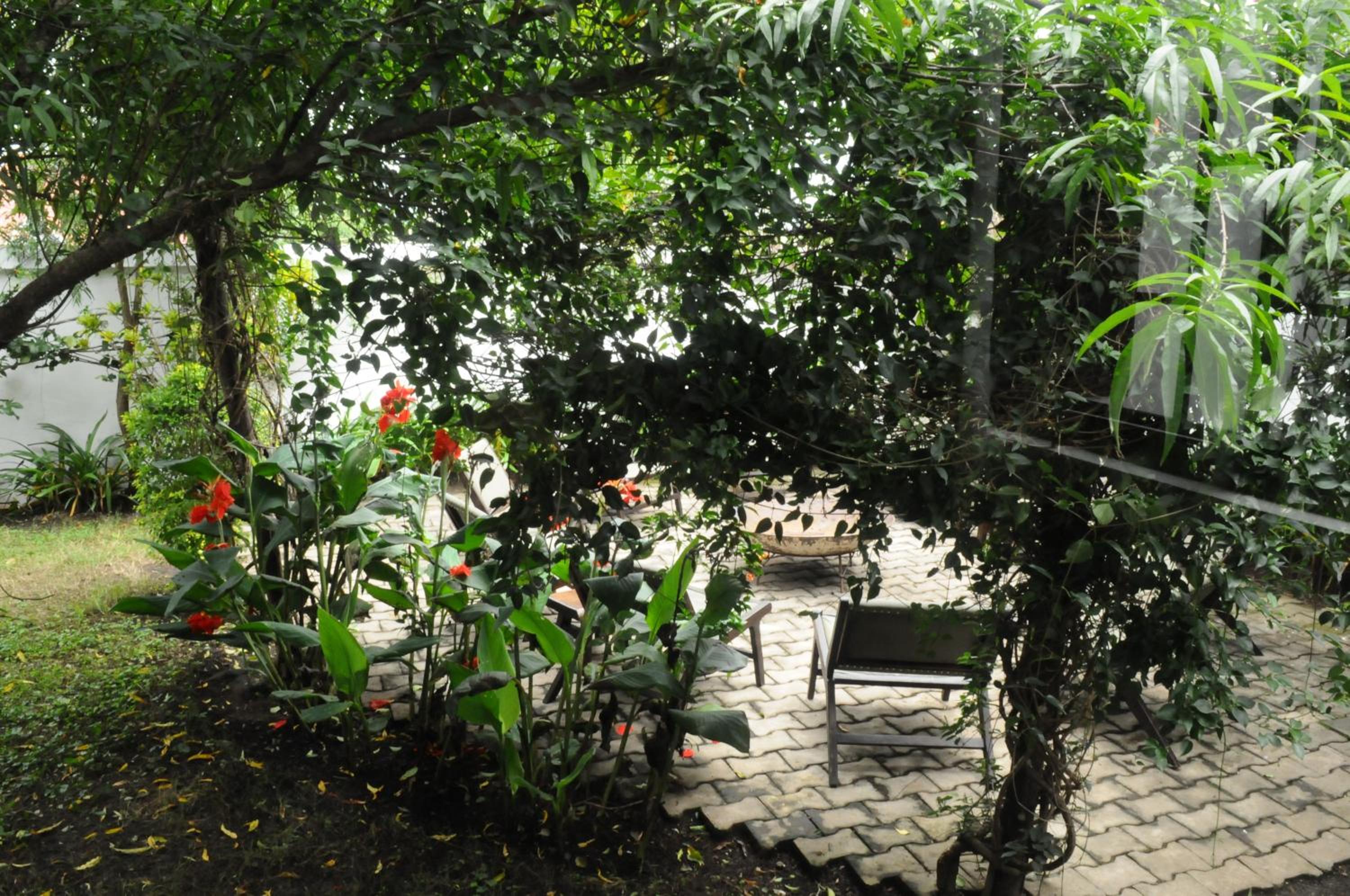 Photo 14
