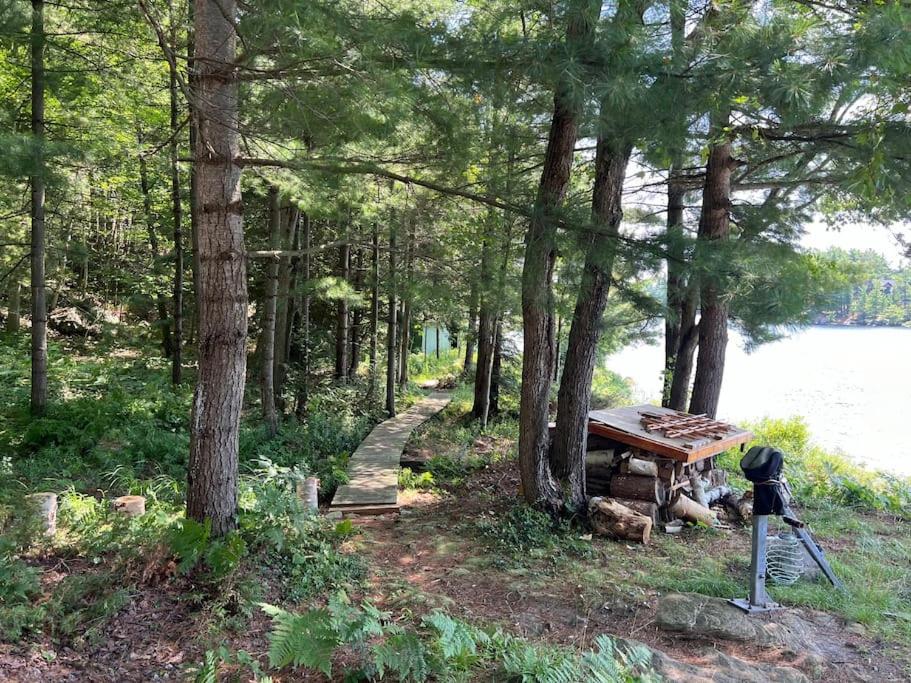 Davi's Lake House