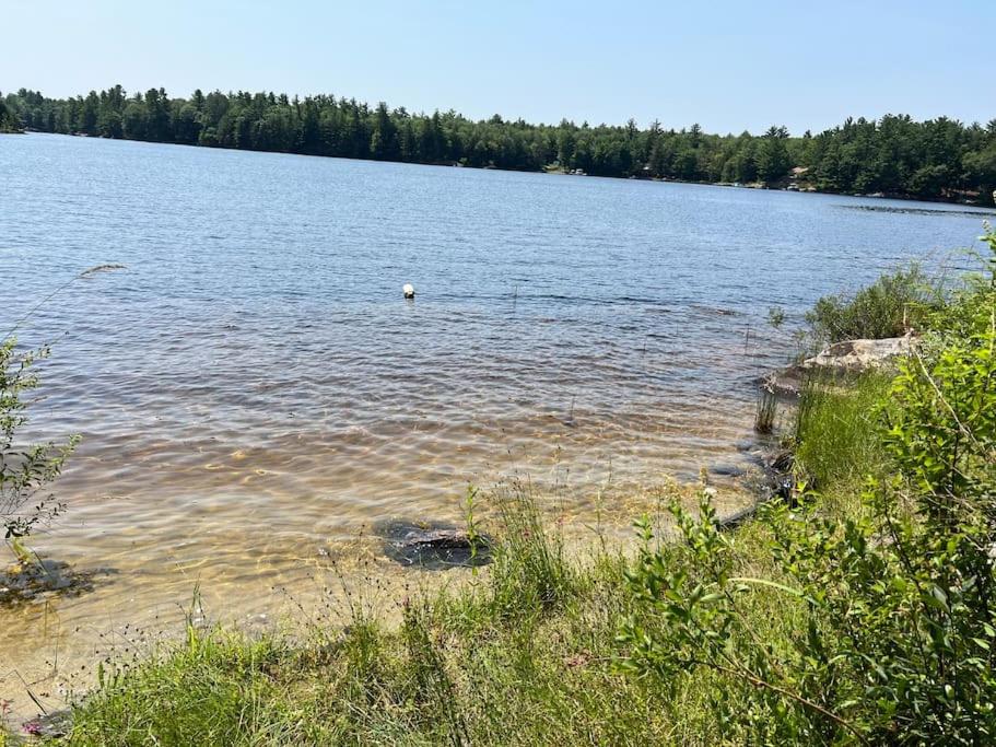 Davi's Lake House
