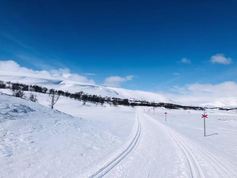Funäsdalsfjällen för skidor, cykel, vandring och fiske view 2