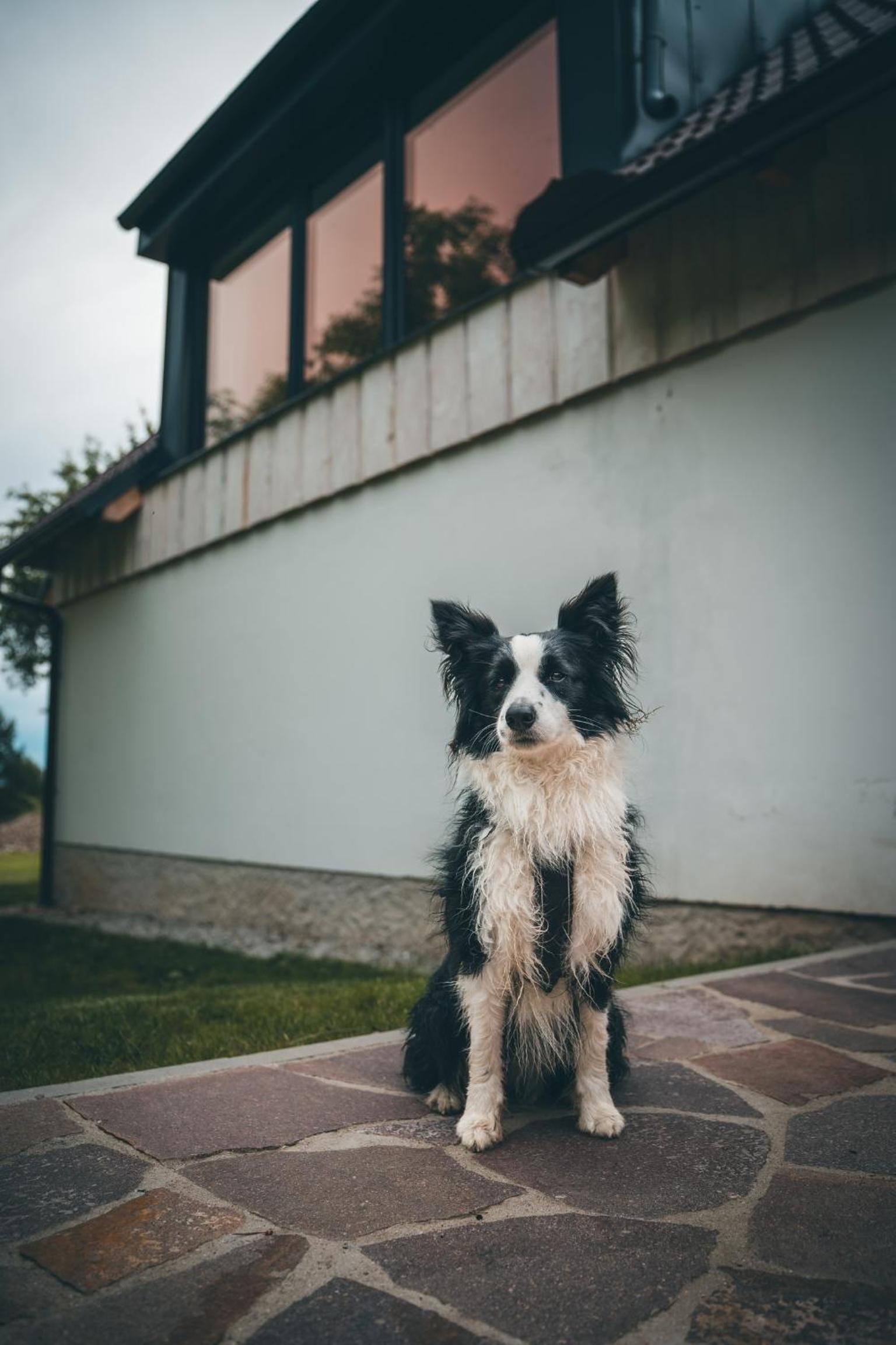 Apartmán Na Vrších
