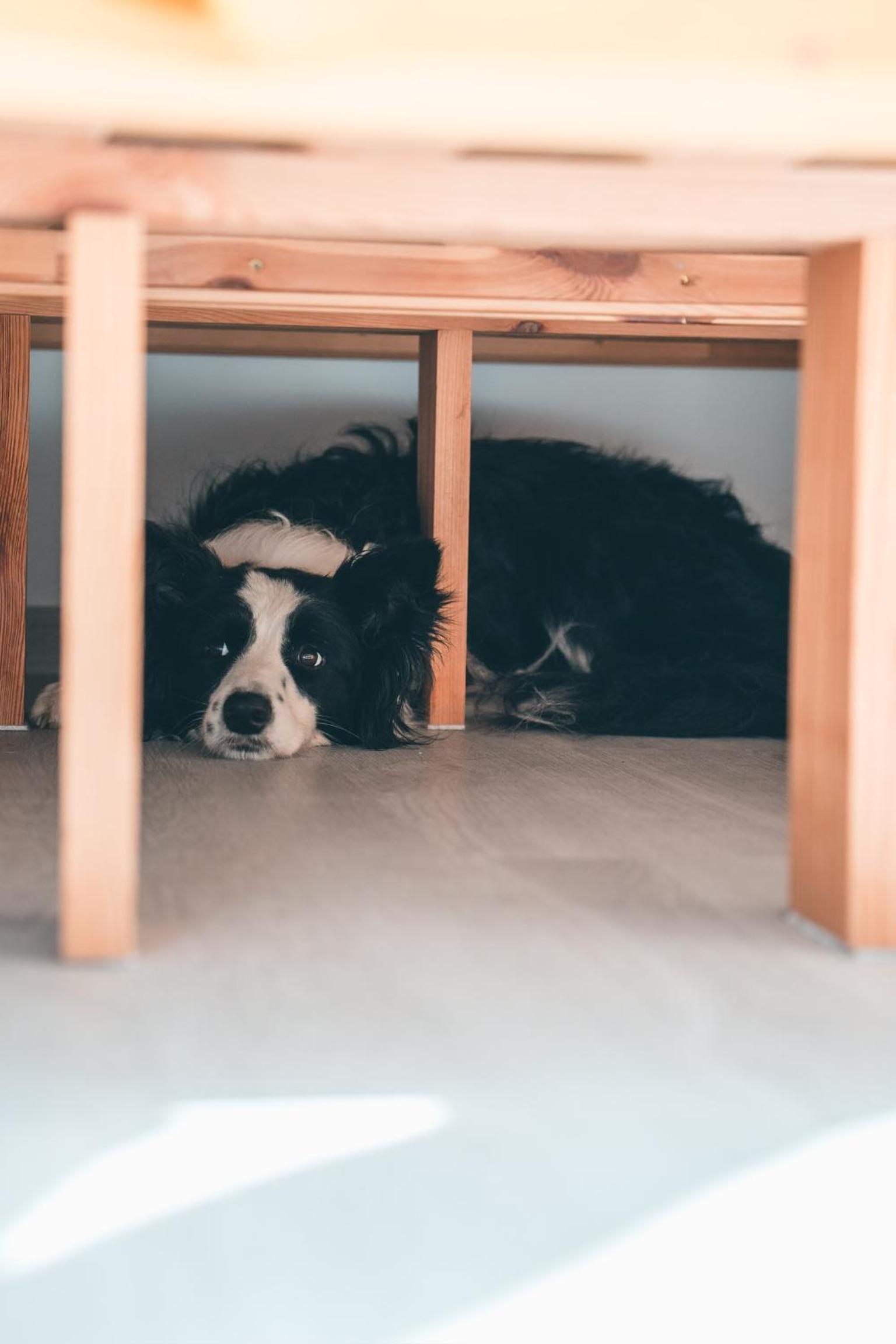 Apartmán Na Vrších