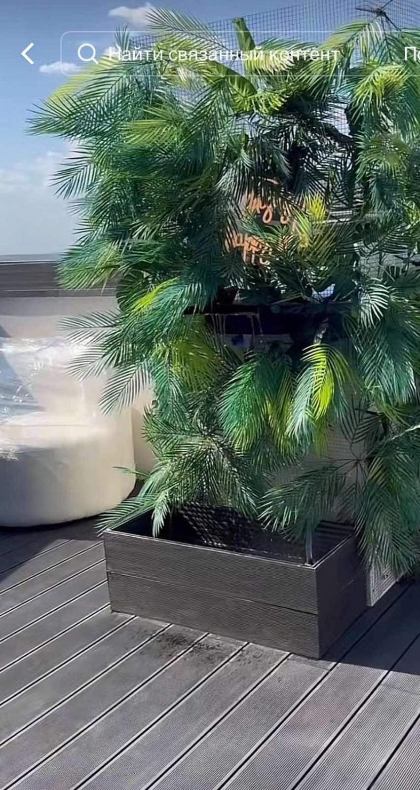 Pethouse club house